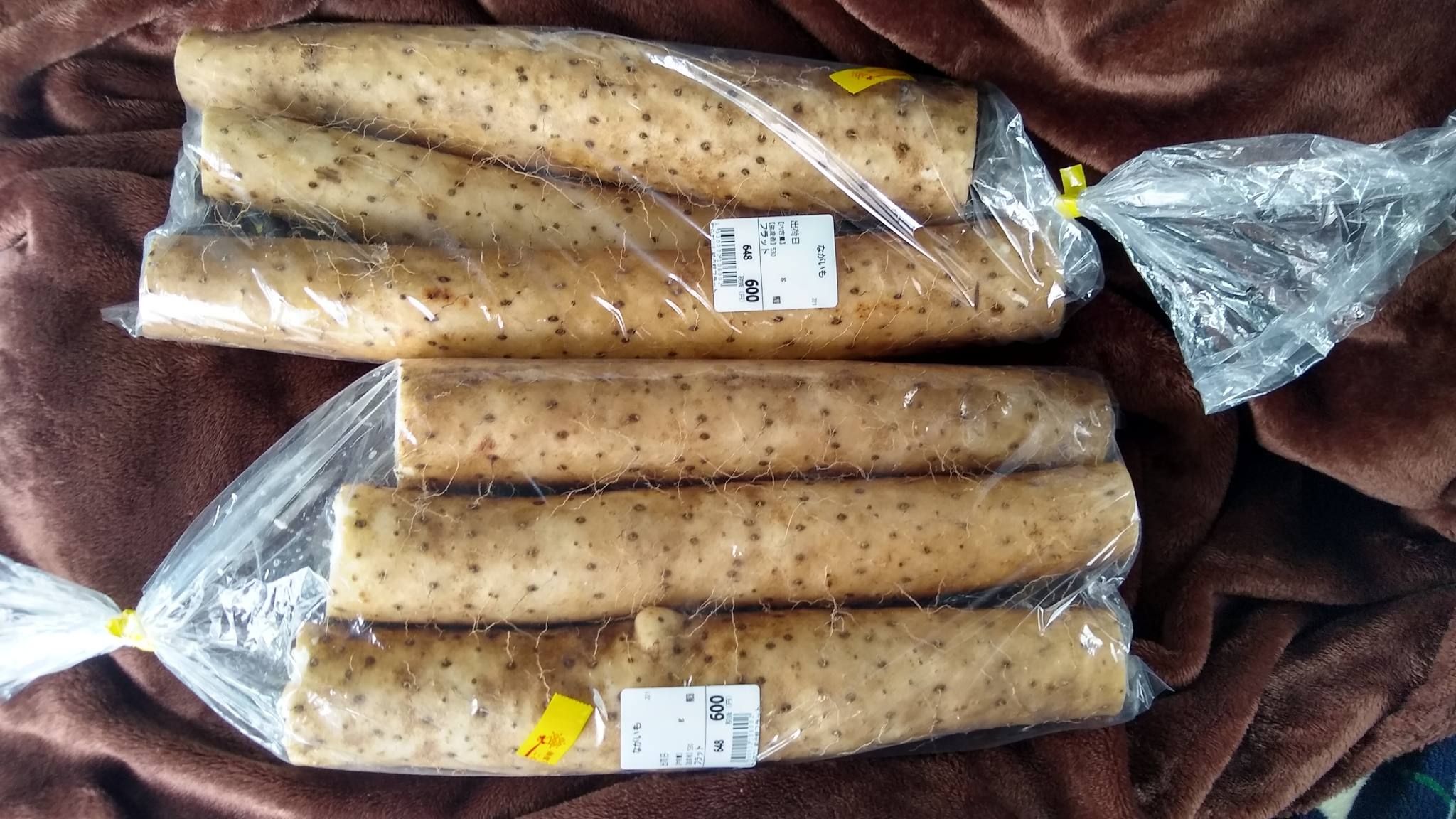 車力 フラット 長芋 600円 | 青森びいき