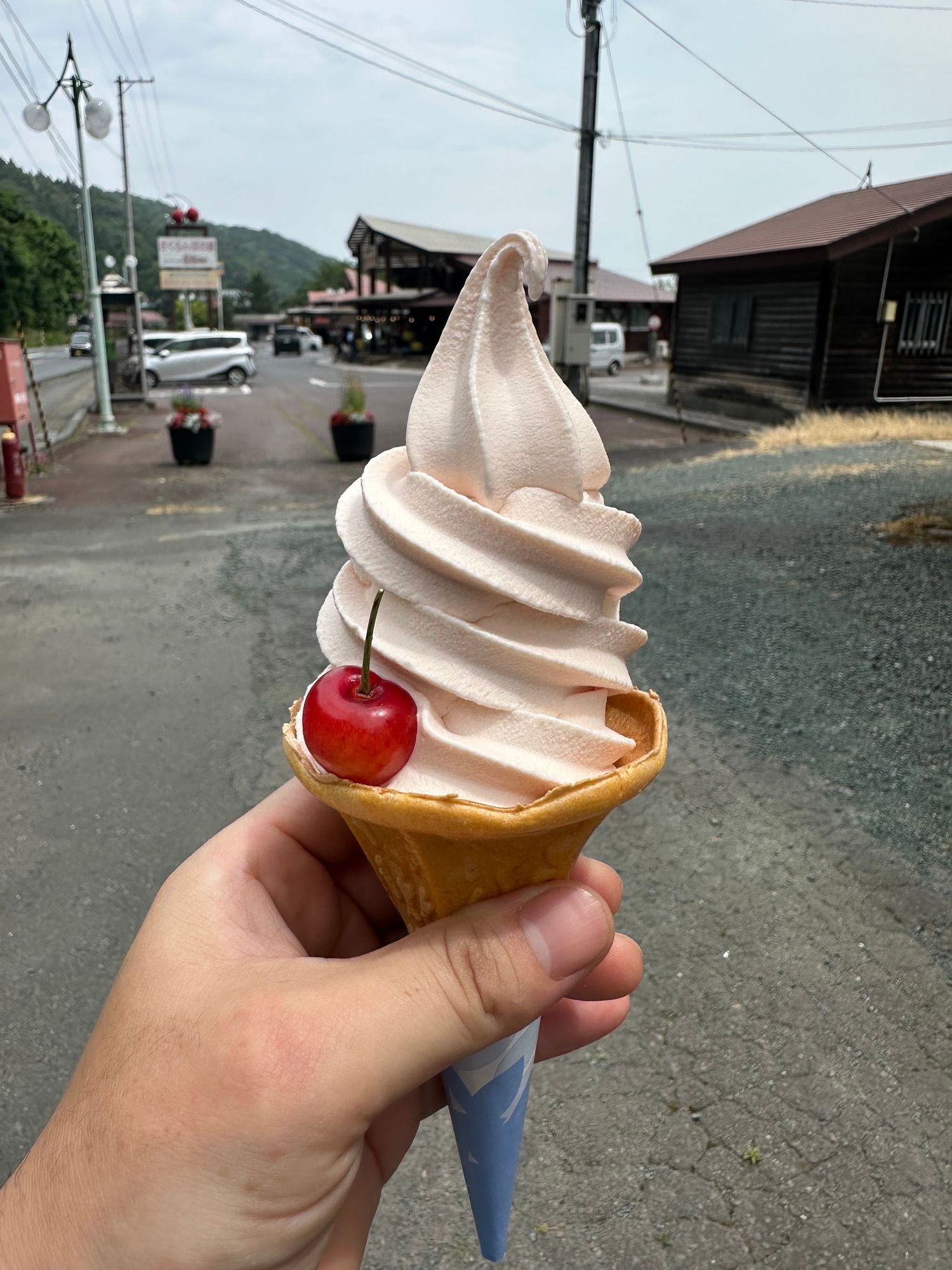 名川チェリーセンターに隣接する「スイーツガーデンKUDO」のさくらんぼ
