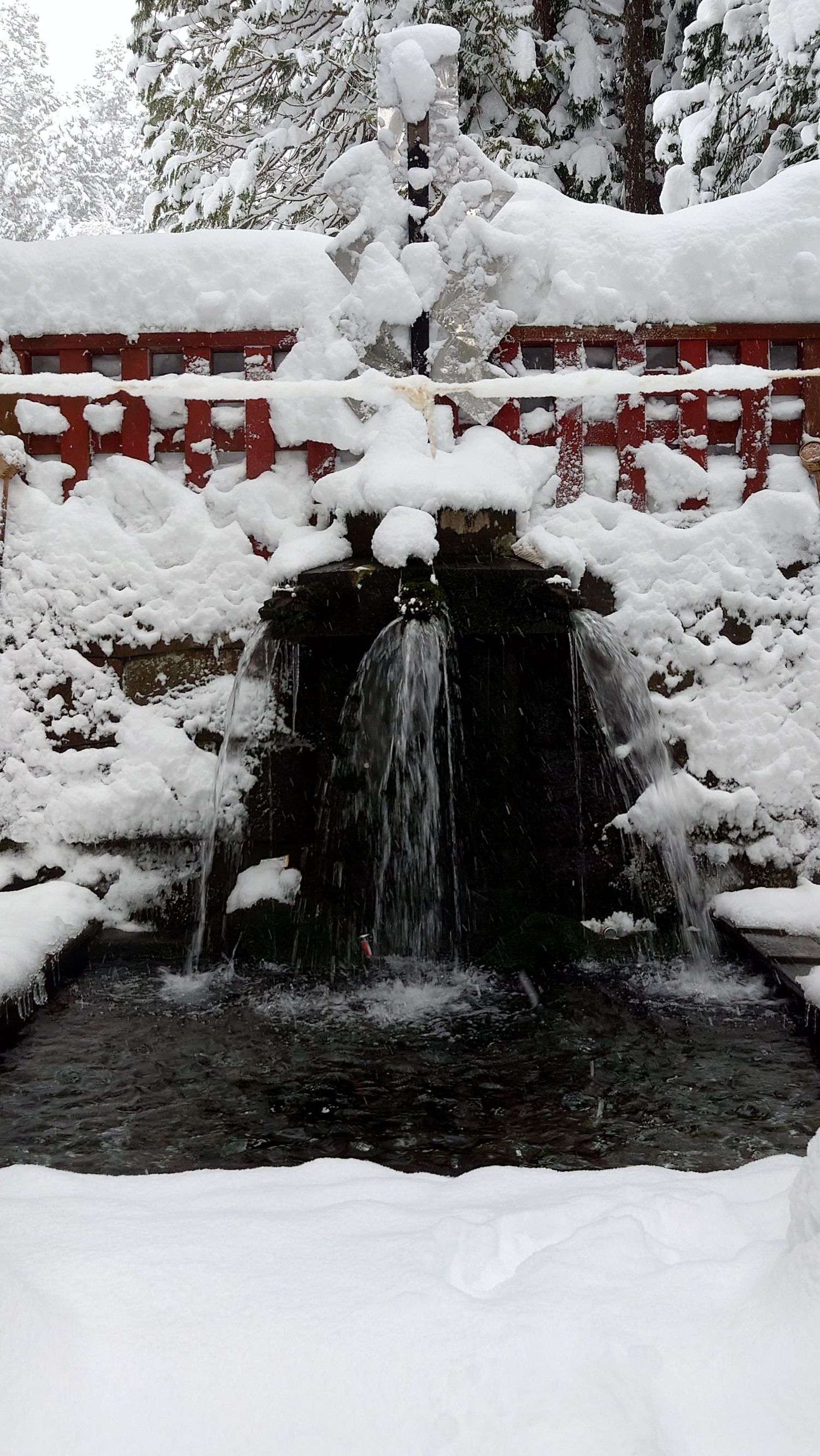 雪降る朝の岩木山神社 | 青森びいき