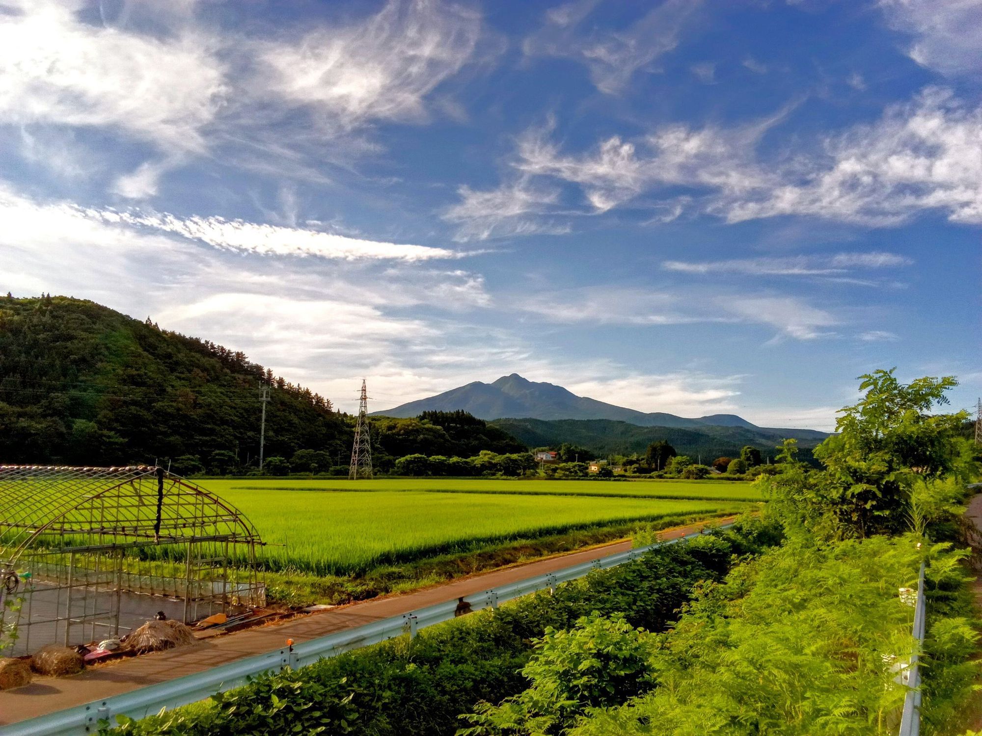 鰺ヶ沢〜嶽きみ畑 岩木山 2025/07/20 朝 | 青森びいき