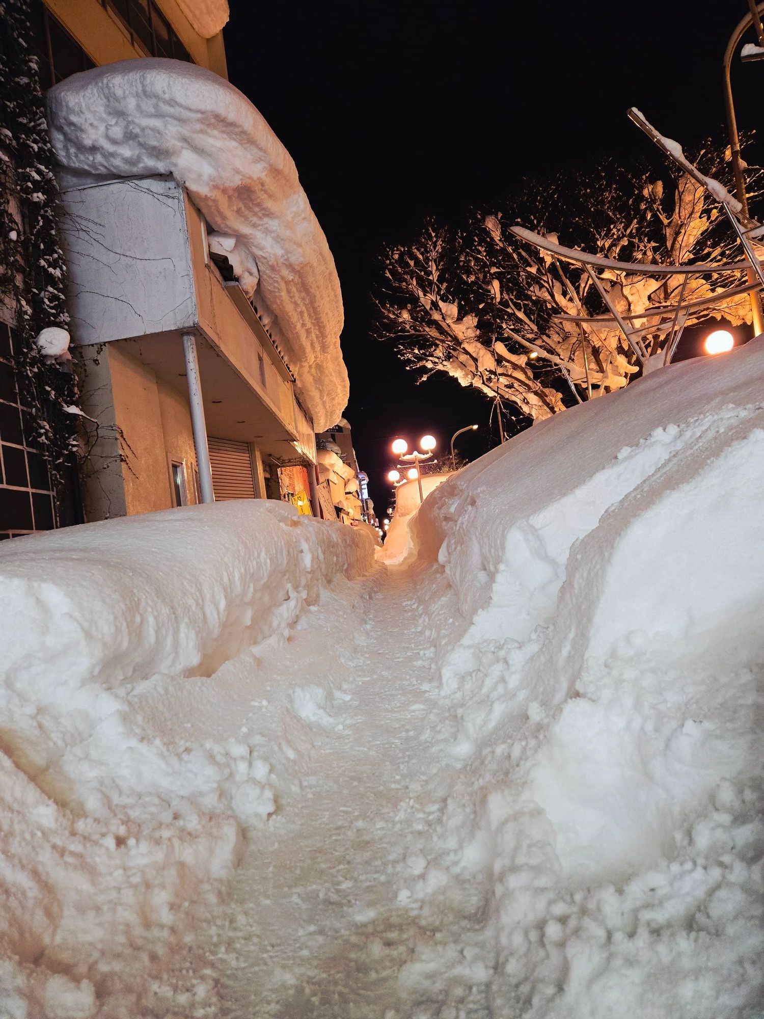 40年ぶりに183センチの積雪💧明日は青森市内全ての小中学校が休校
