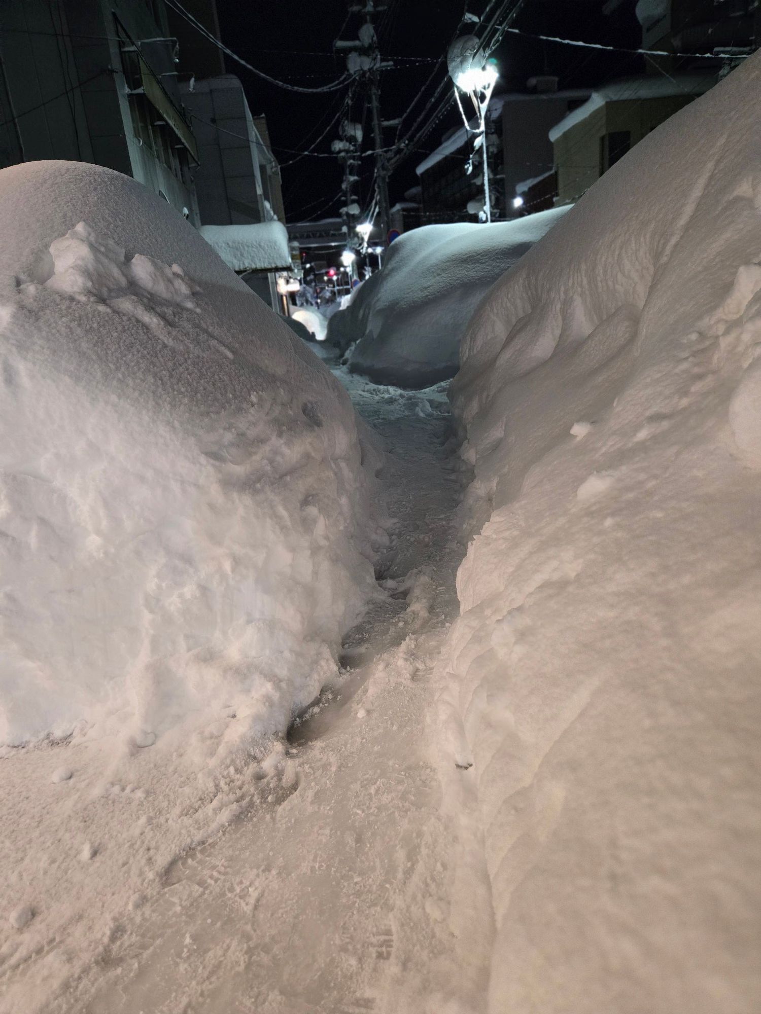 40年ぶりに183センチの積雪💧明日は青森市内全ての小中学校が休校
