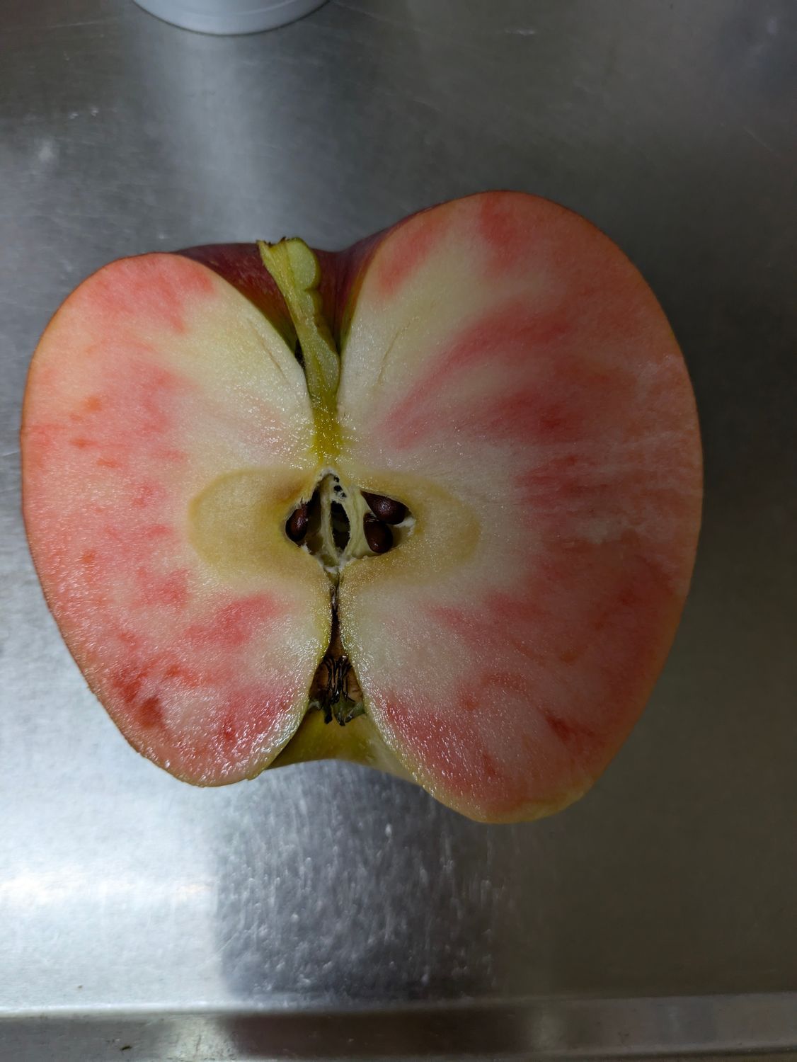 りんごたち🍎 | 青森びいき