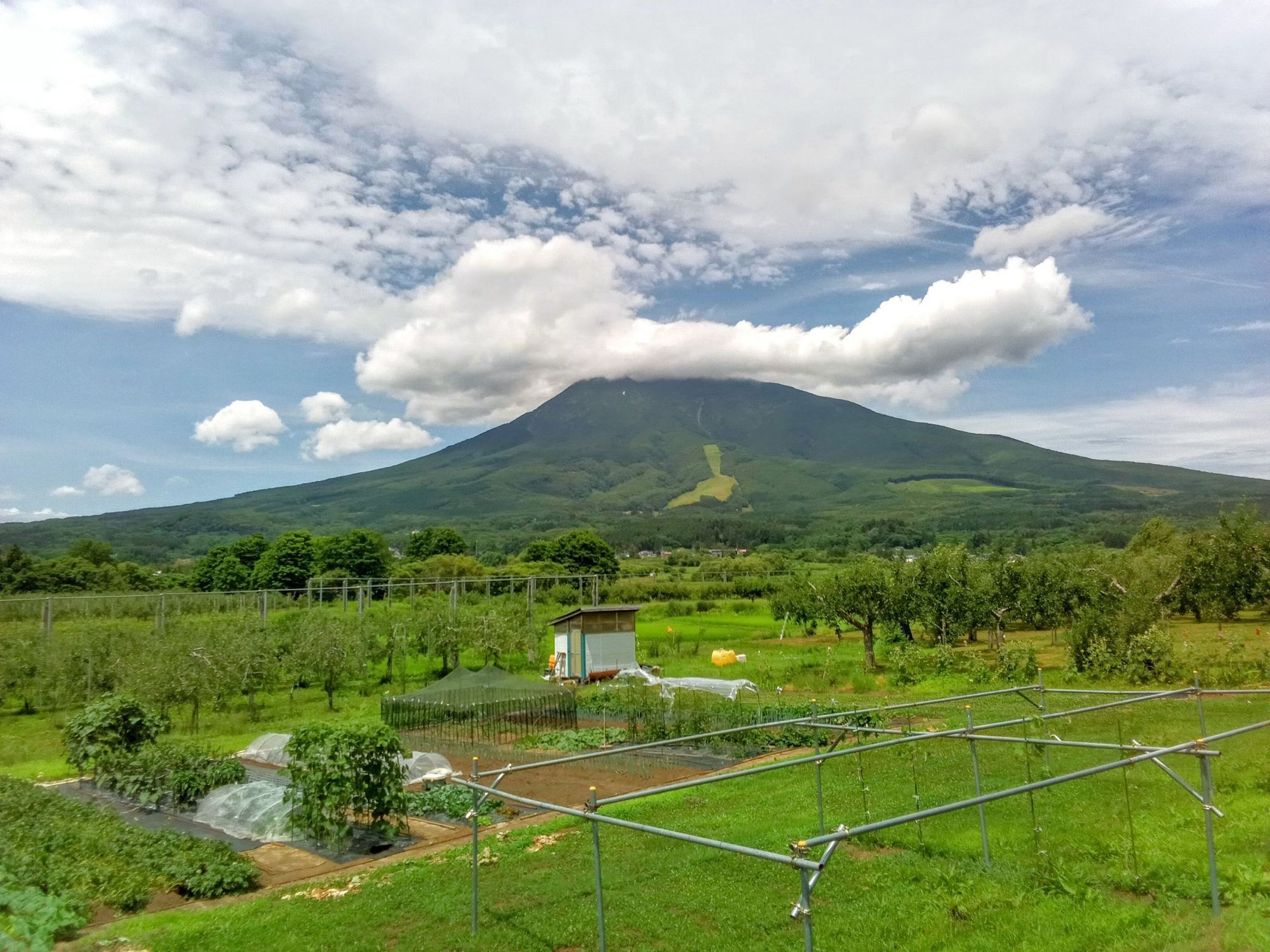 岩木山 2025/07/20 昼 | 青森びいき