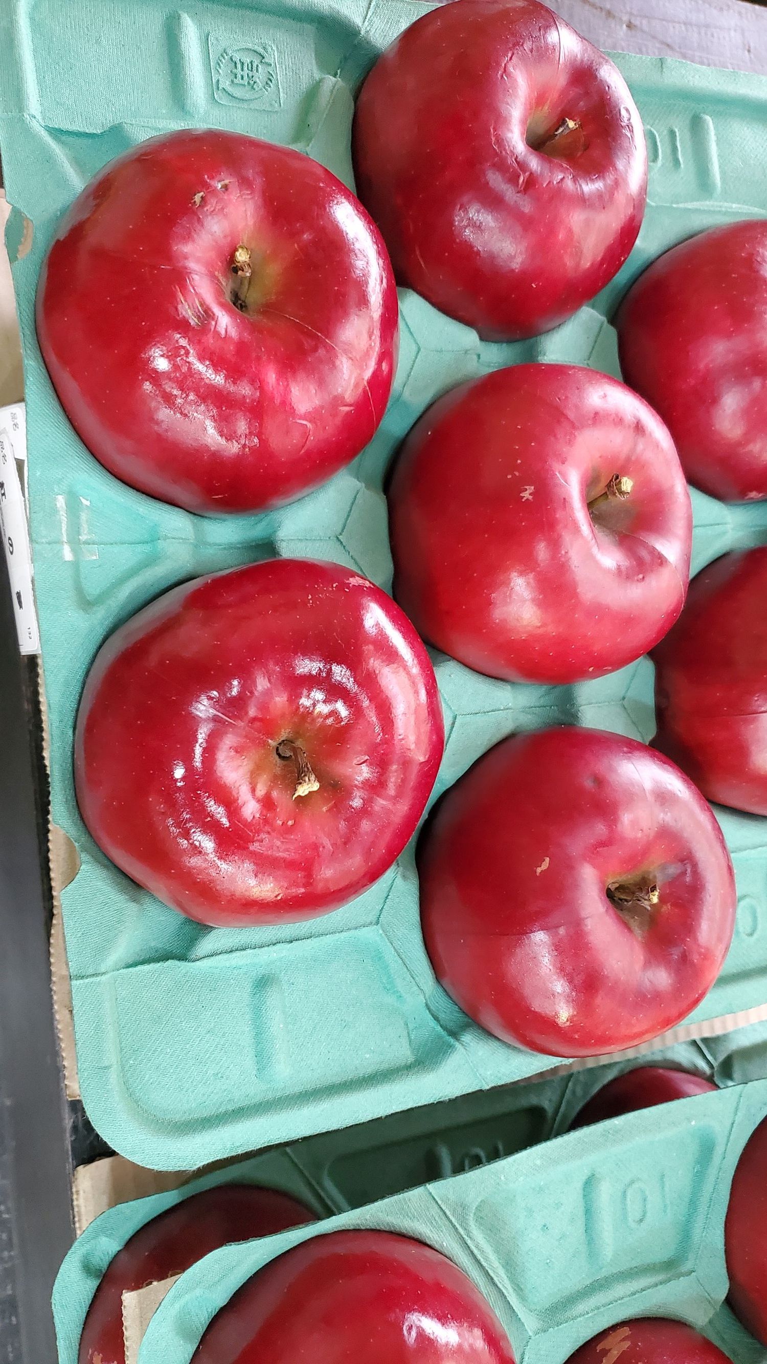 リンゴ🍎リンゴ🍎たくさんの種類 | 青森びいき