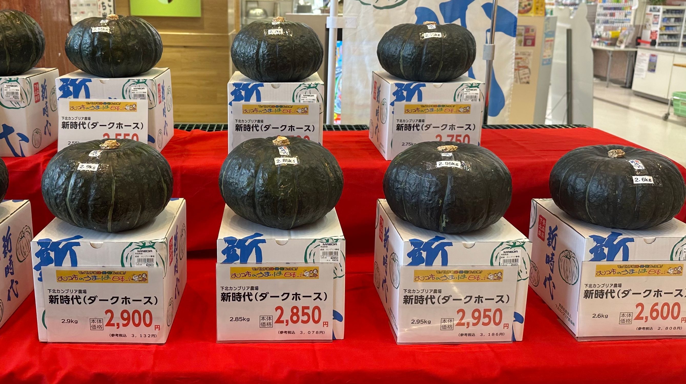新時代かぼちゃ🎃 | 青森びいき