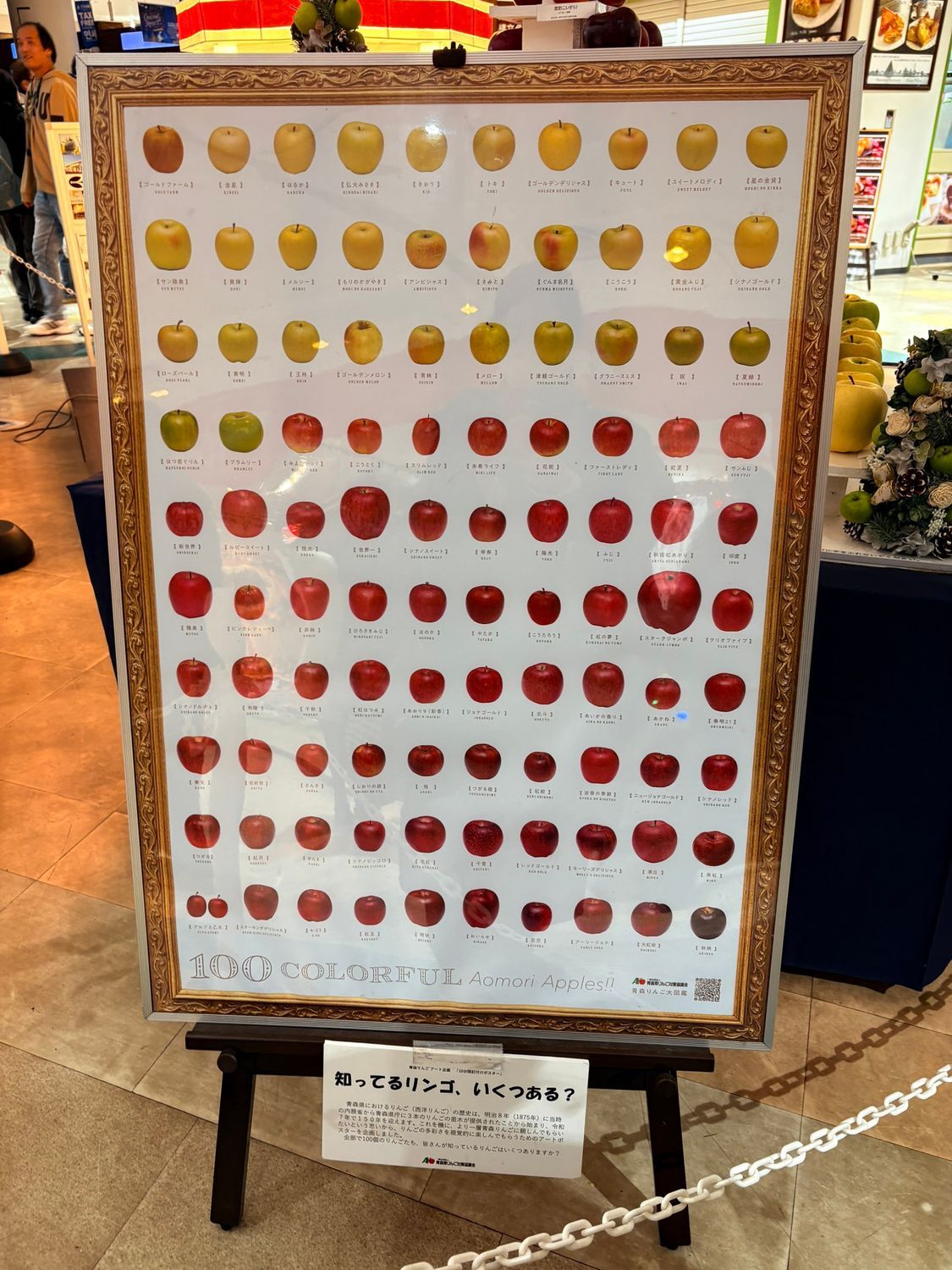 六色リンゴツリー大 青森りんごのクリスマスツリー✨これぞ青森のツリー✨🍎🎄🍏 | 青森びいき