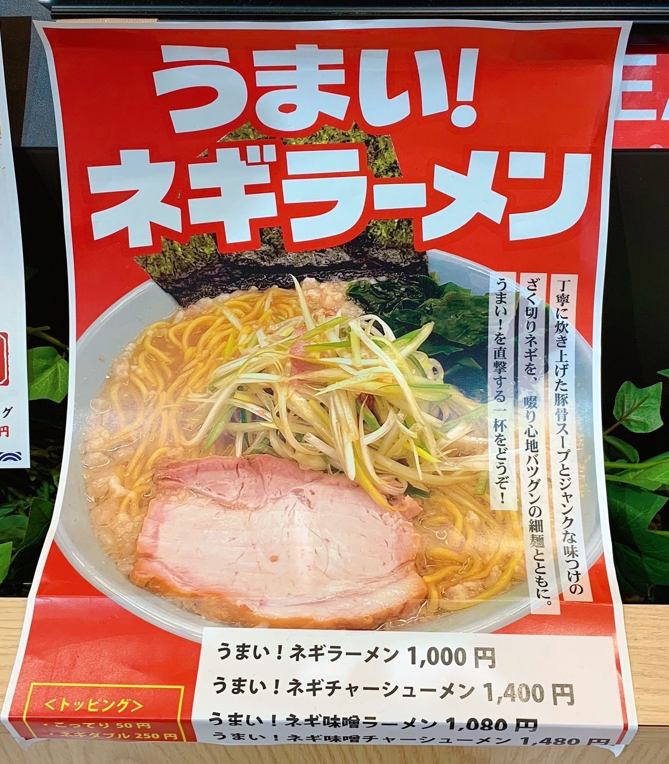 凌駕IDEA うまい！ネギラーメン ダブルネギ 津軽ラーメン街道 エルム