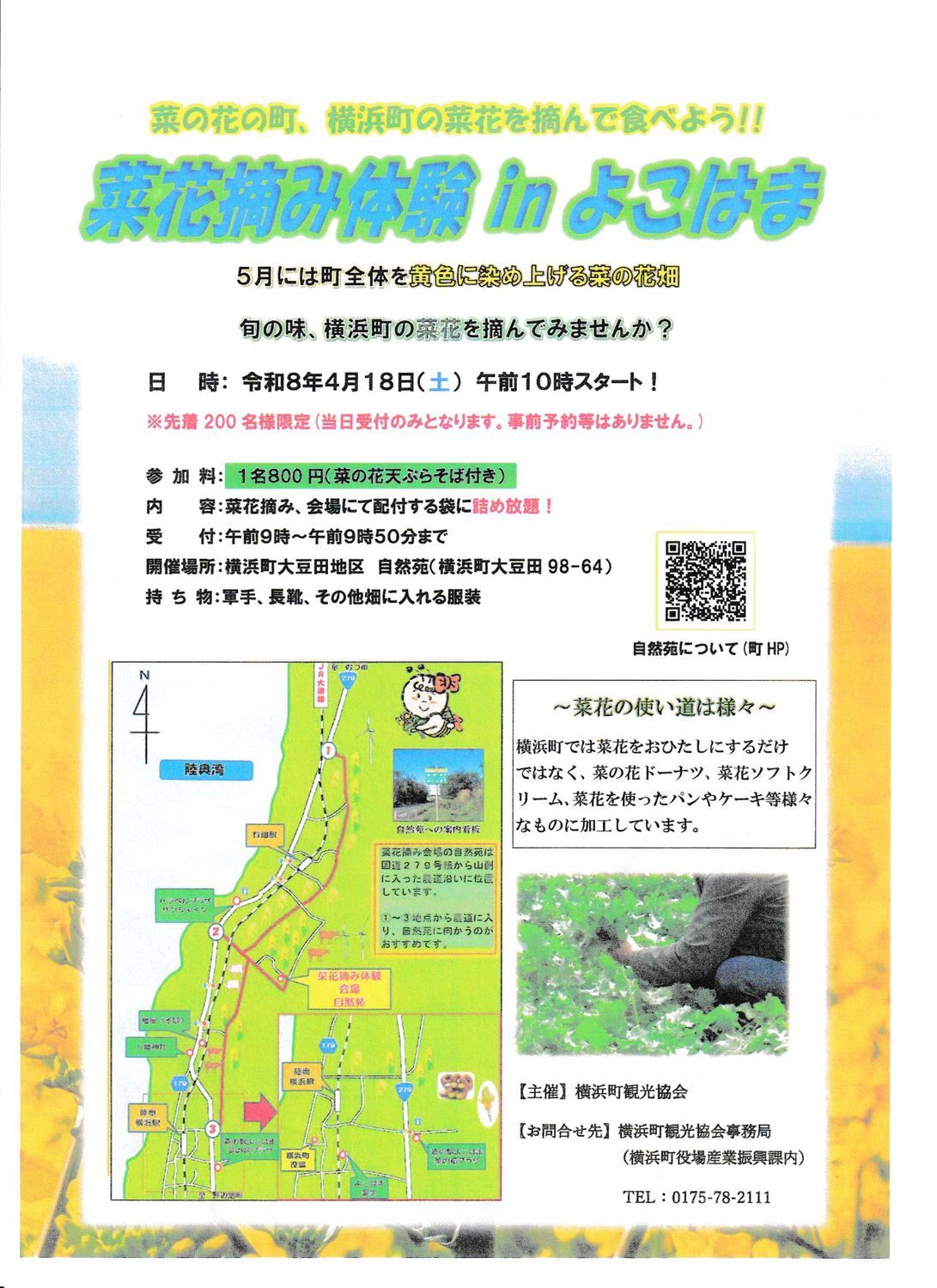 菜花摘み体験 in よこはま | 青森びいき