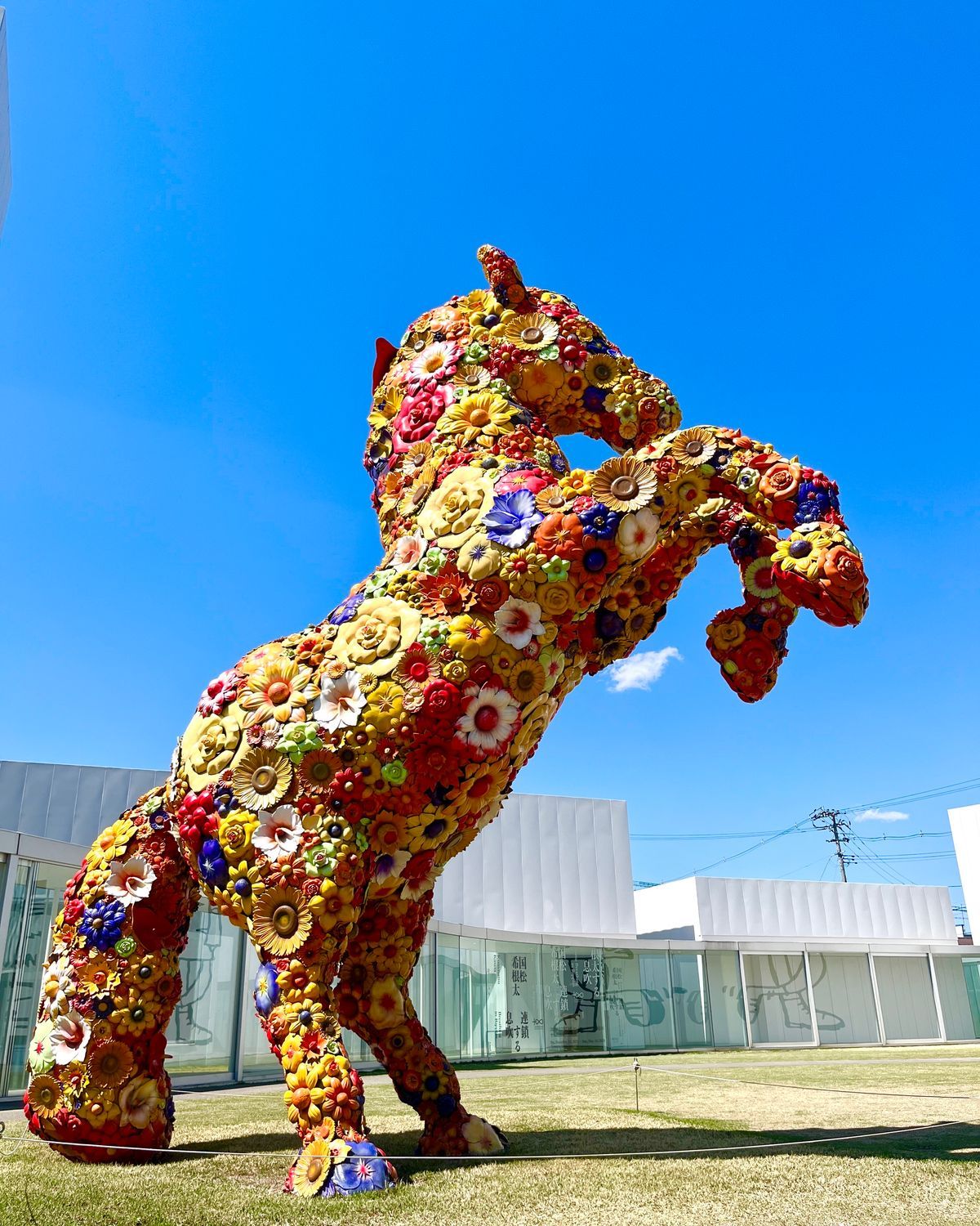 十和田市現代美術館アート広場 | 青森びいき
