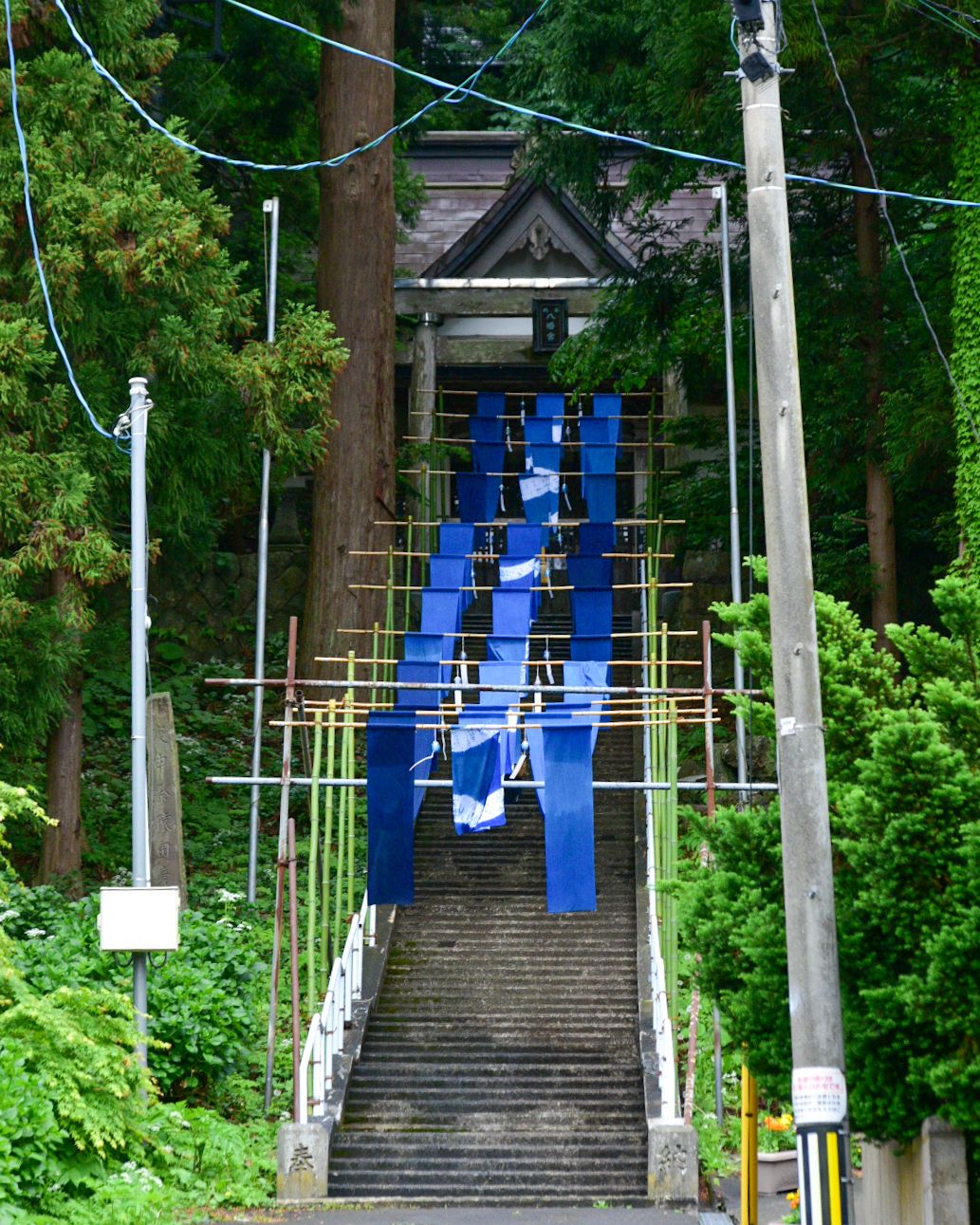 海風の町 藍染の森」 | 青森びいき