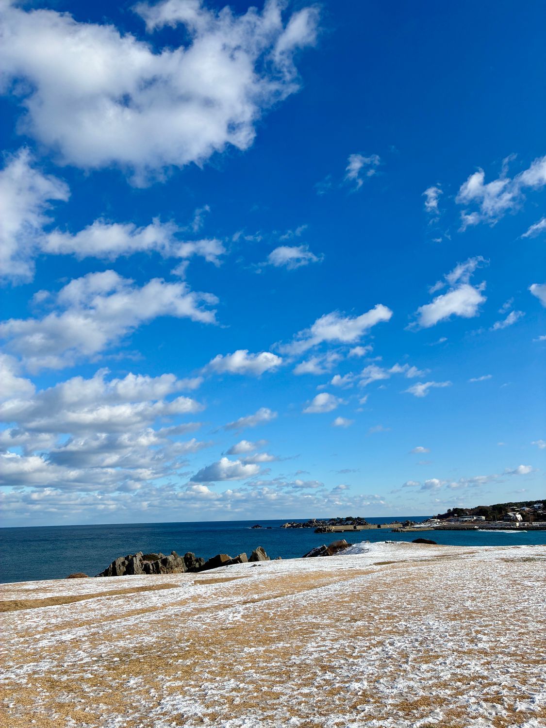 2026初種差海岸 | 青森びいき
