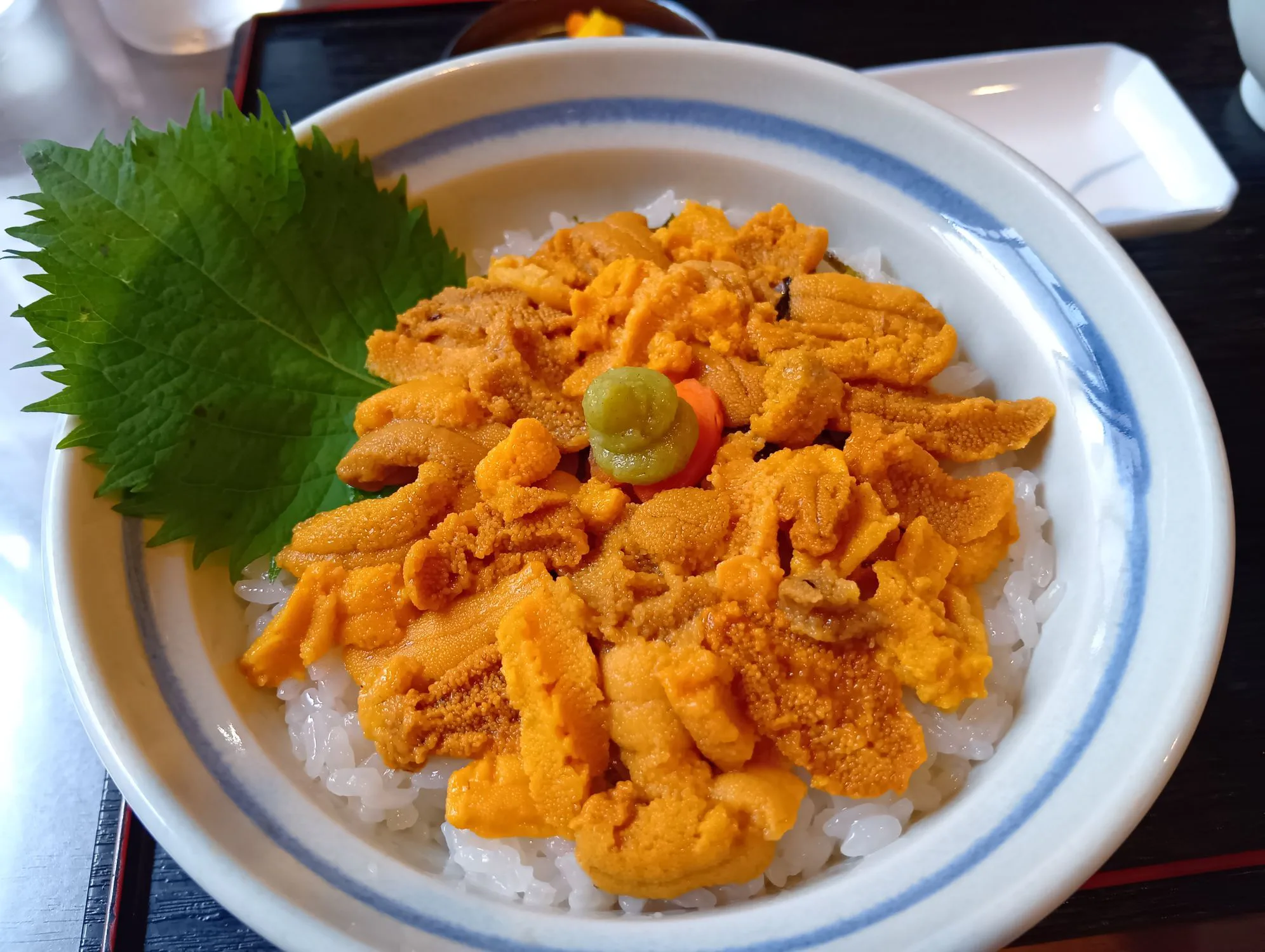 美味しいウニ丼 | 青森びいき