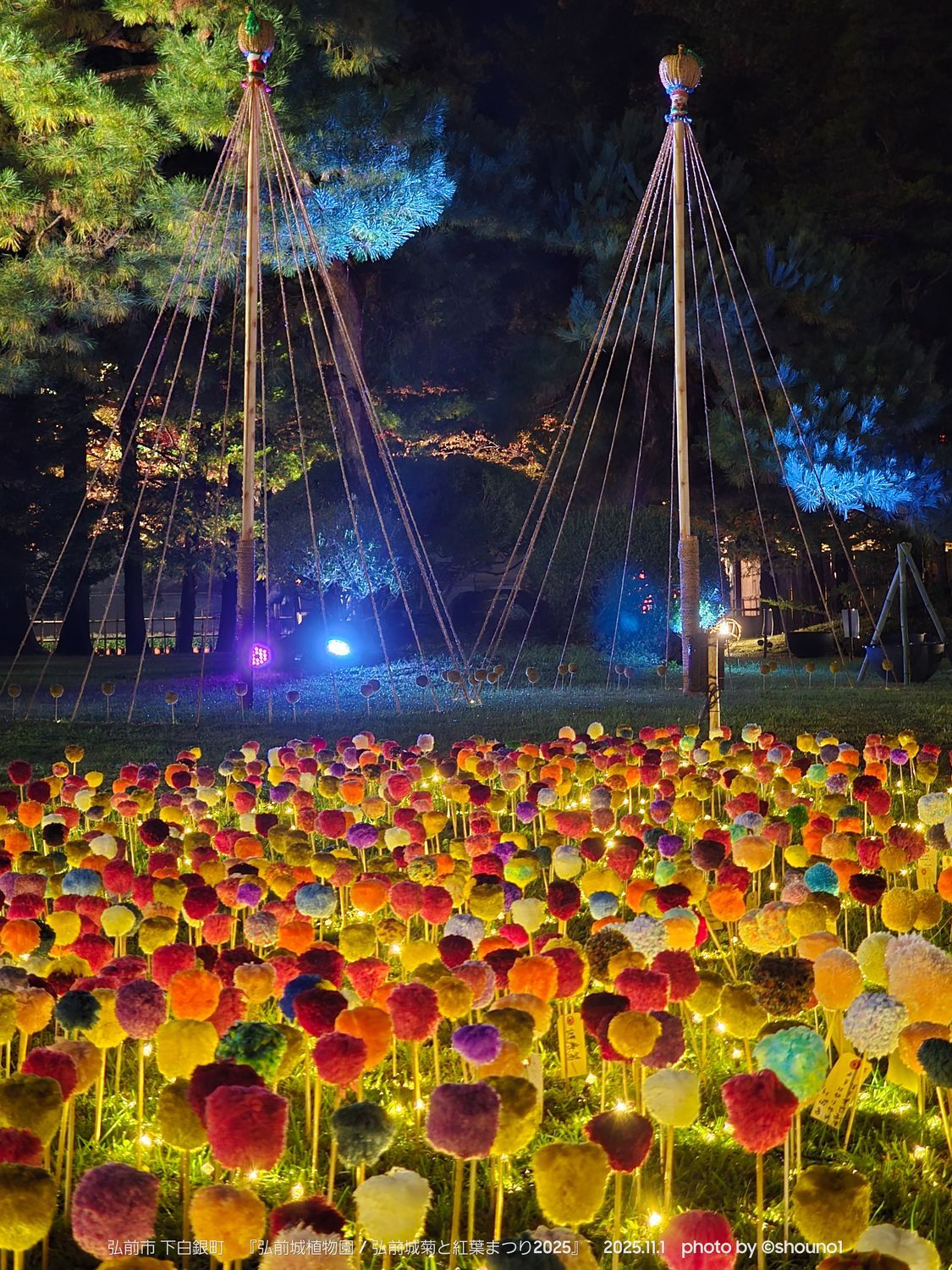紅燈百錬　雲州弘光作 現地レポ】2025年弘前公園の夜桜ライトアップ見どころ7選｜仮天守 彫刻・オブジェ