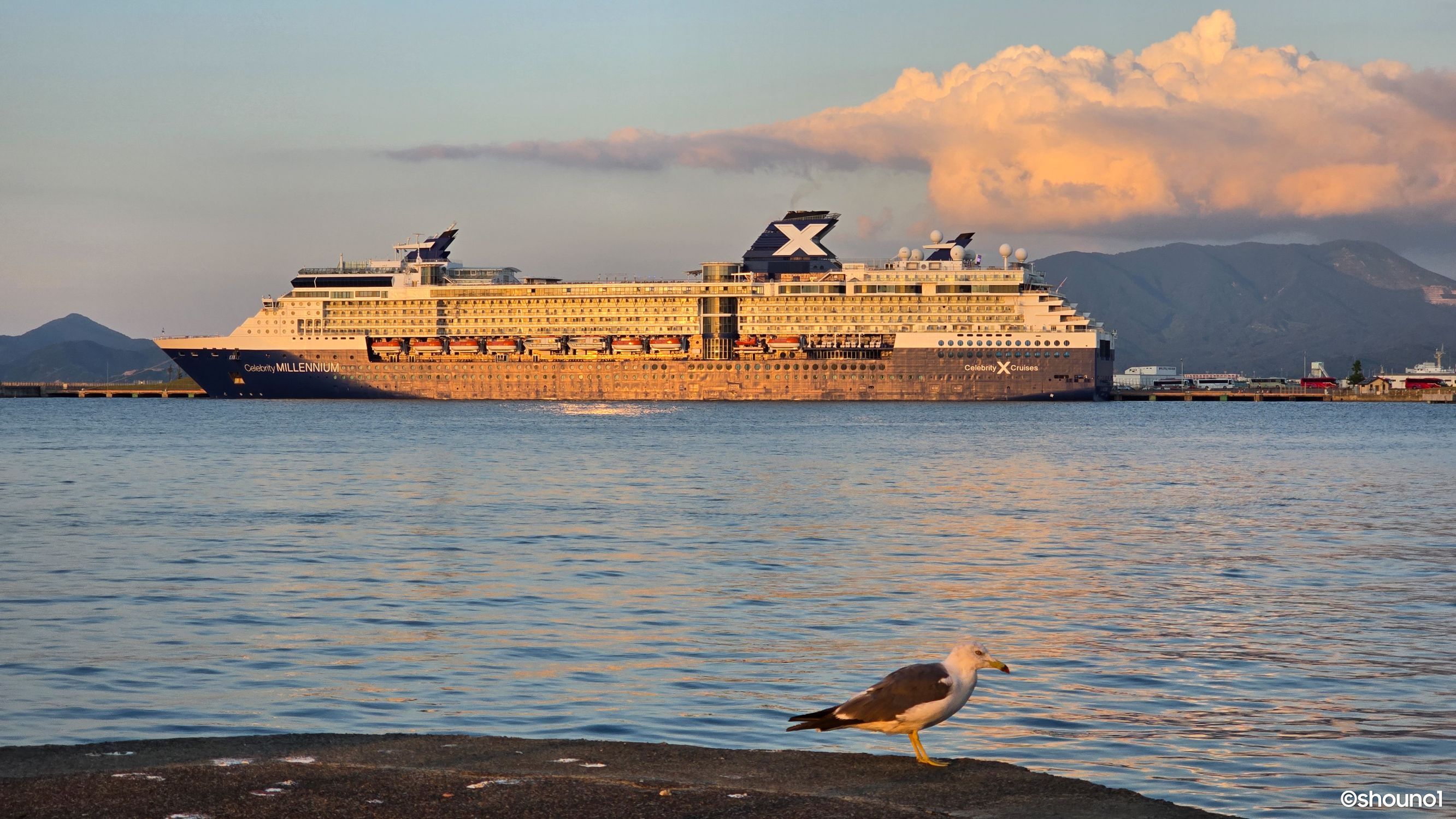 青森市】今年6回目の寄港！セレブリティ・ミレニアム | 青森びいき