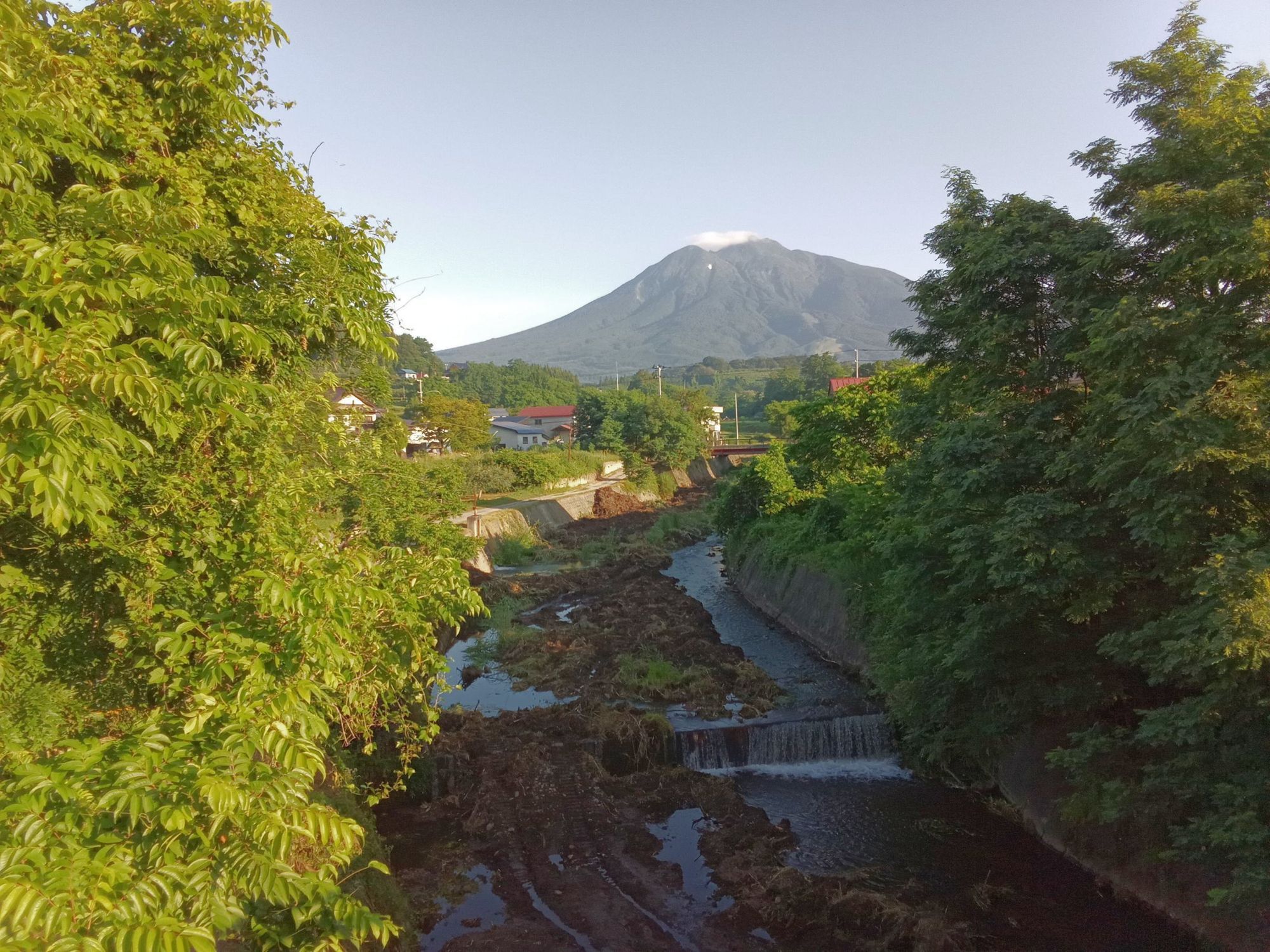 黄色いくまさん　青森岩木山採取　あけび蔓　150cm～ 15kg　2 岩木山と畑 早朝 2025/07/21 | 青森びいき