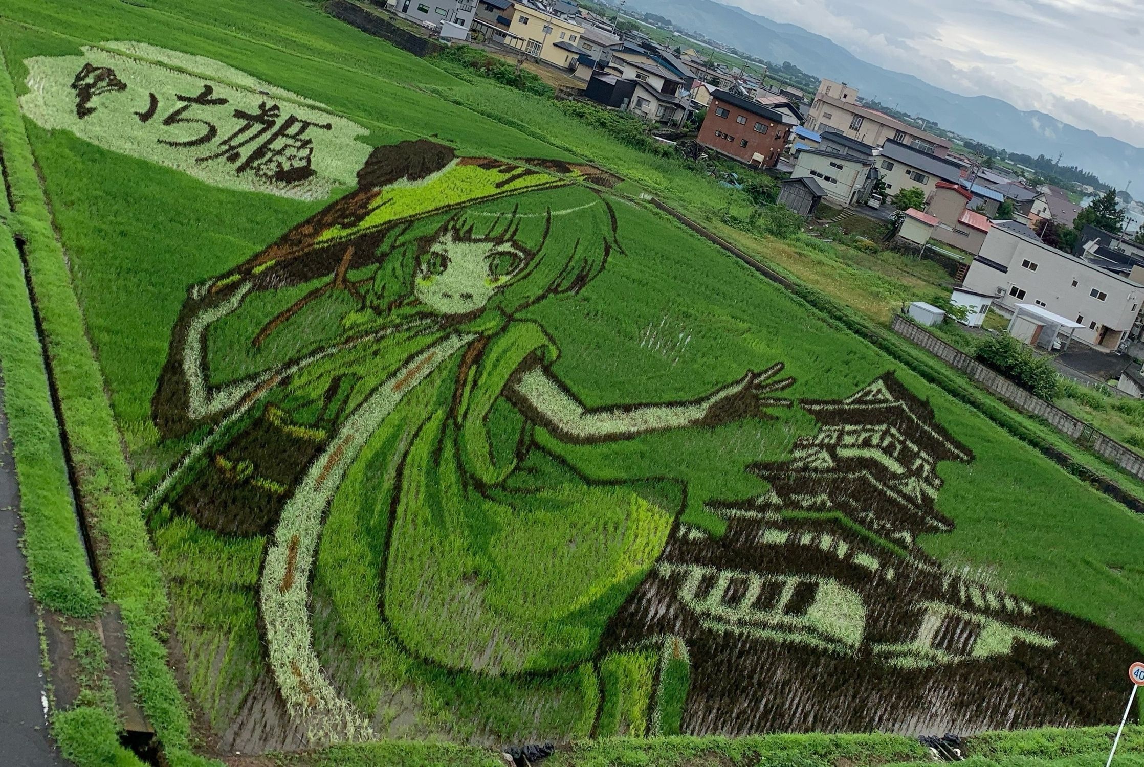田んぼアート 第1田んぼアート 田舎館村70周年のキセキ 田舎館村