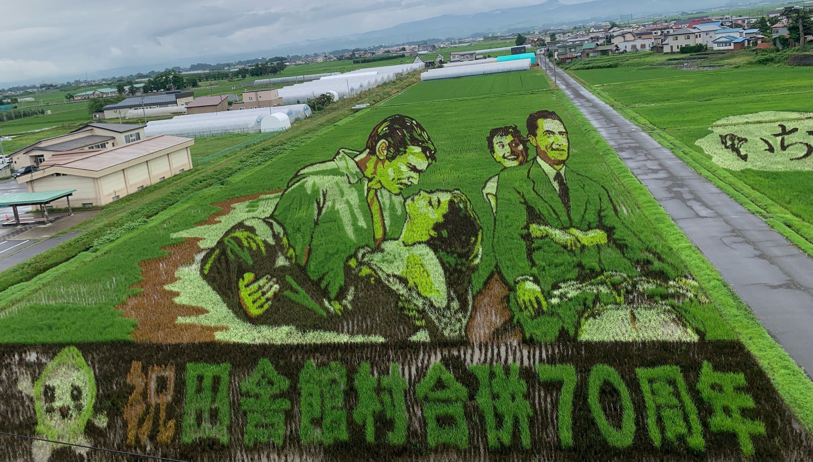 田んぼアート 第1田んぼアート 田舎館村70周年のキセキ 田舎館村