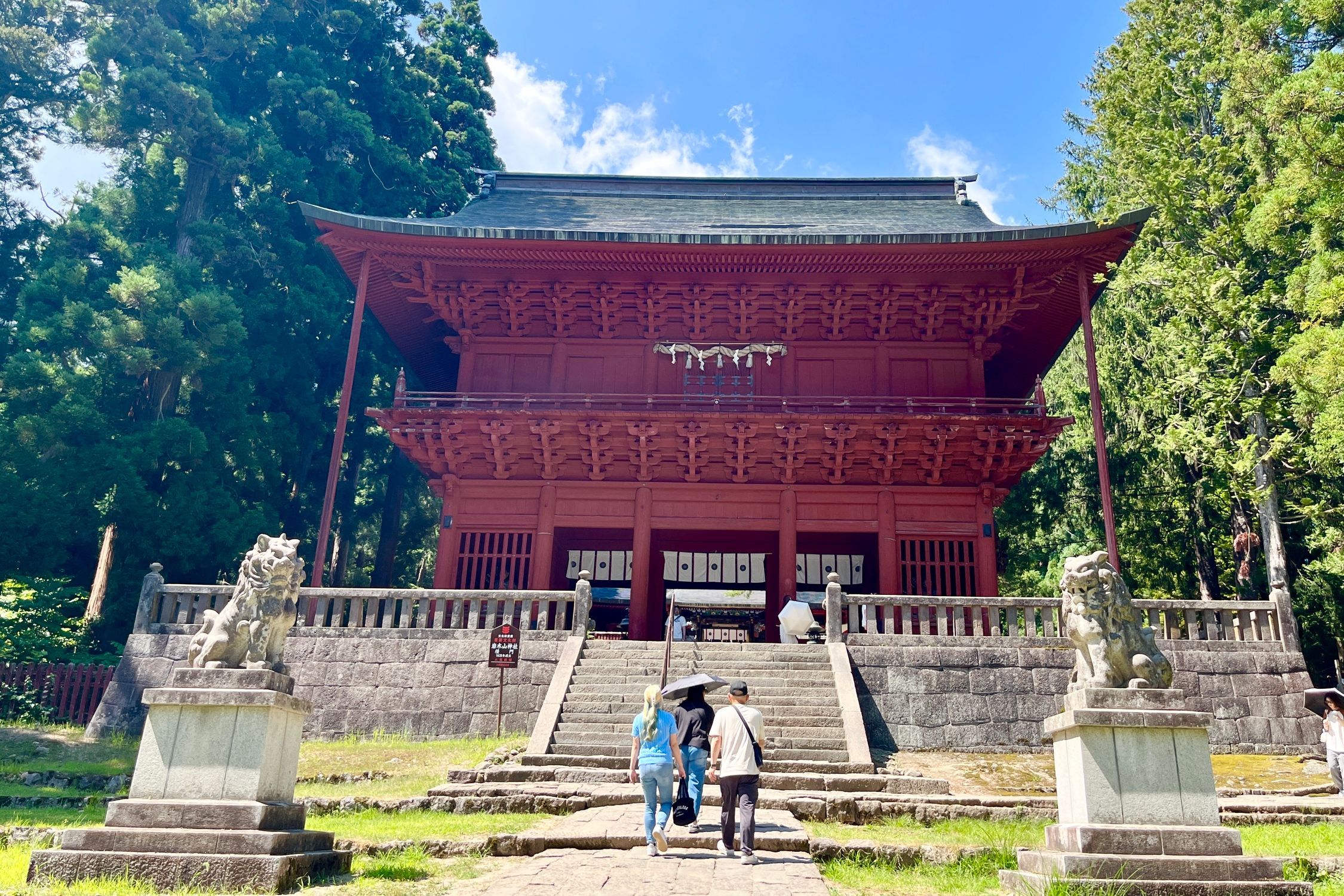 エミリー　(代理)青森県岩木山採取　あけび蔓　150cm～　3kg エミリー様専用 (代理)青森県岩木山採取 あけび蔓 150cm～ 3kg
