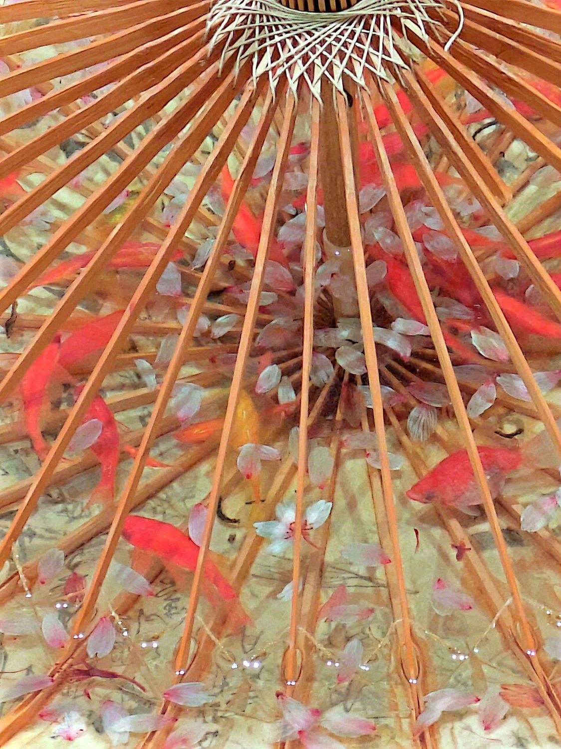 青森県立美術館で深堀隆介展！小さな枡の中の金魚アートに感動した雨の