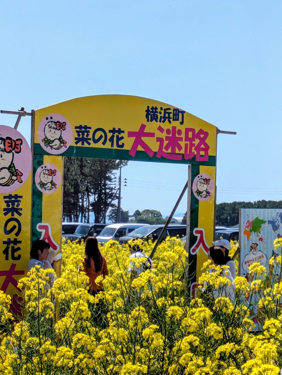横浜町 【菜の花フェスティバル】 | 青森びいき