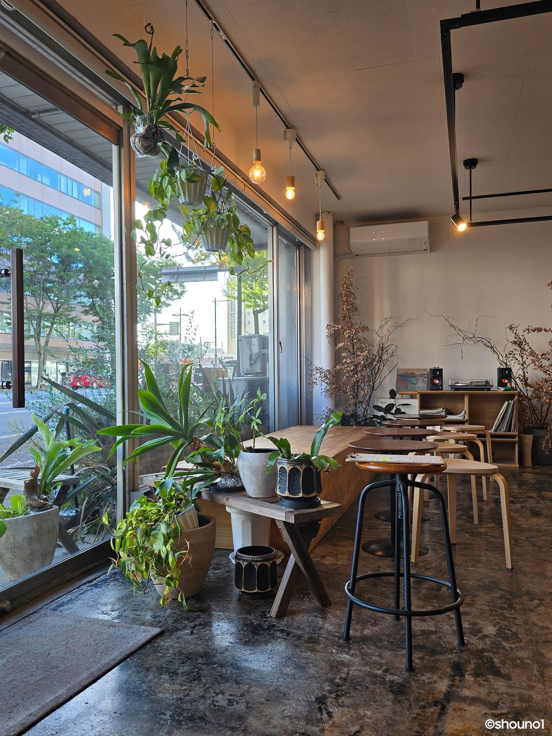 青森市・古川】COTOCOFFEE初訪問！癒しの空間。ほうじ茶ラテにほっこり