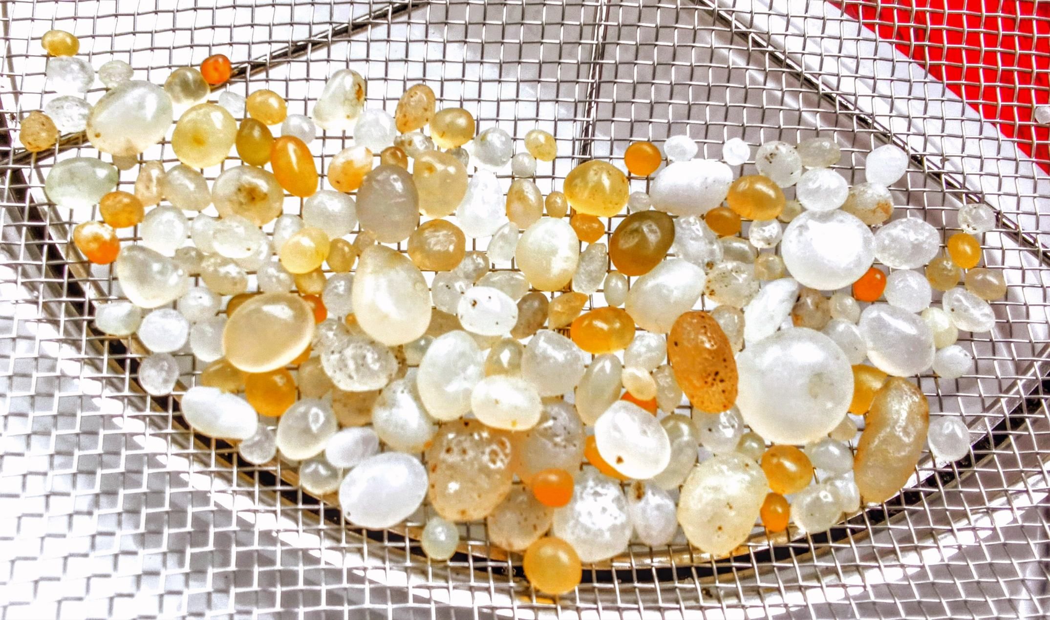 ビーチコーミング 舎利石 2025/10/31 1時間勝負 | 青森びいき