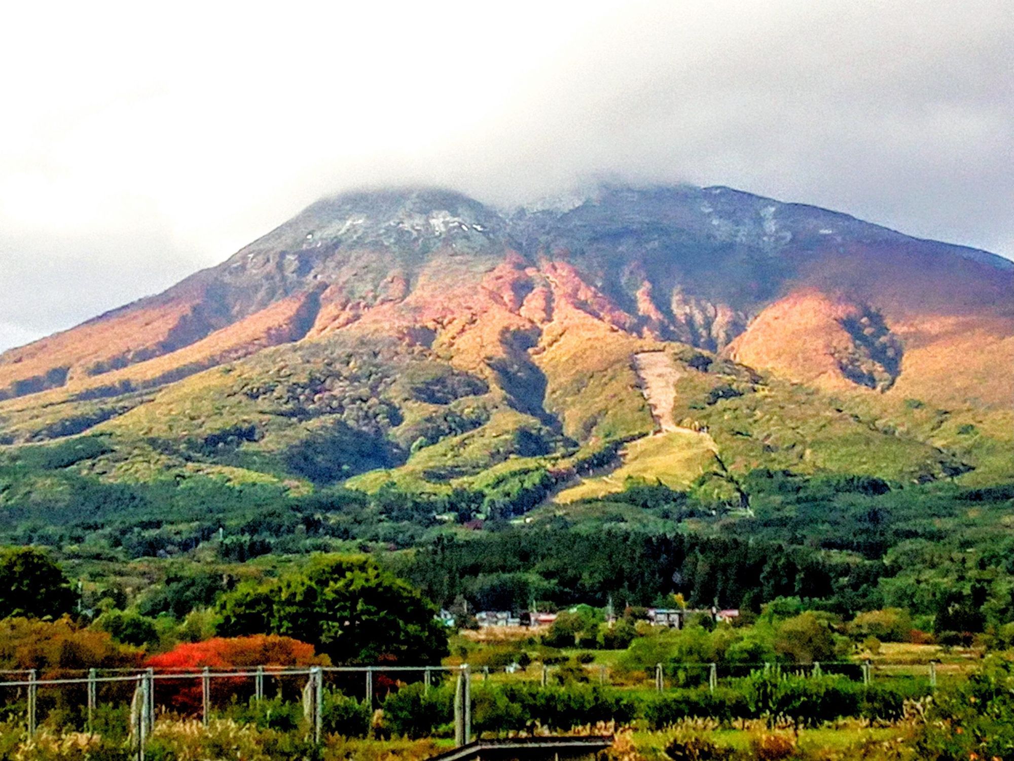 紅葉＋初冠雪で更にカラフル岩木山になりました。 2025/10/20 | 青森びいき