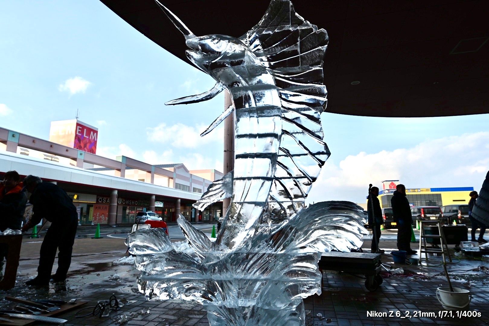 遅くなりましたが。 | 青森びいき