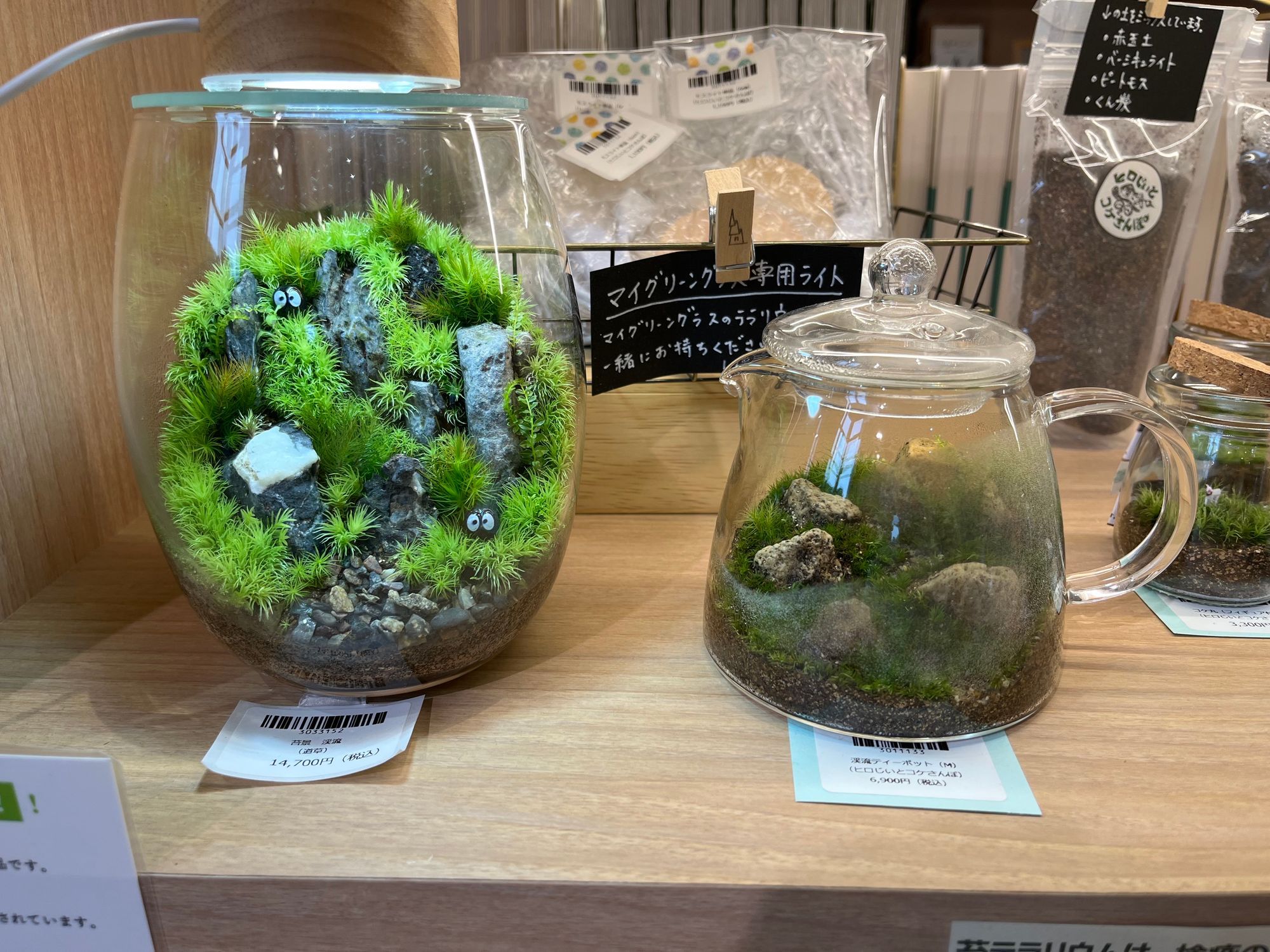 奥入瀬の自然をおうちに♡苔テラリウムの世界に癒されて【奥入瀬渓流館