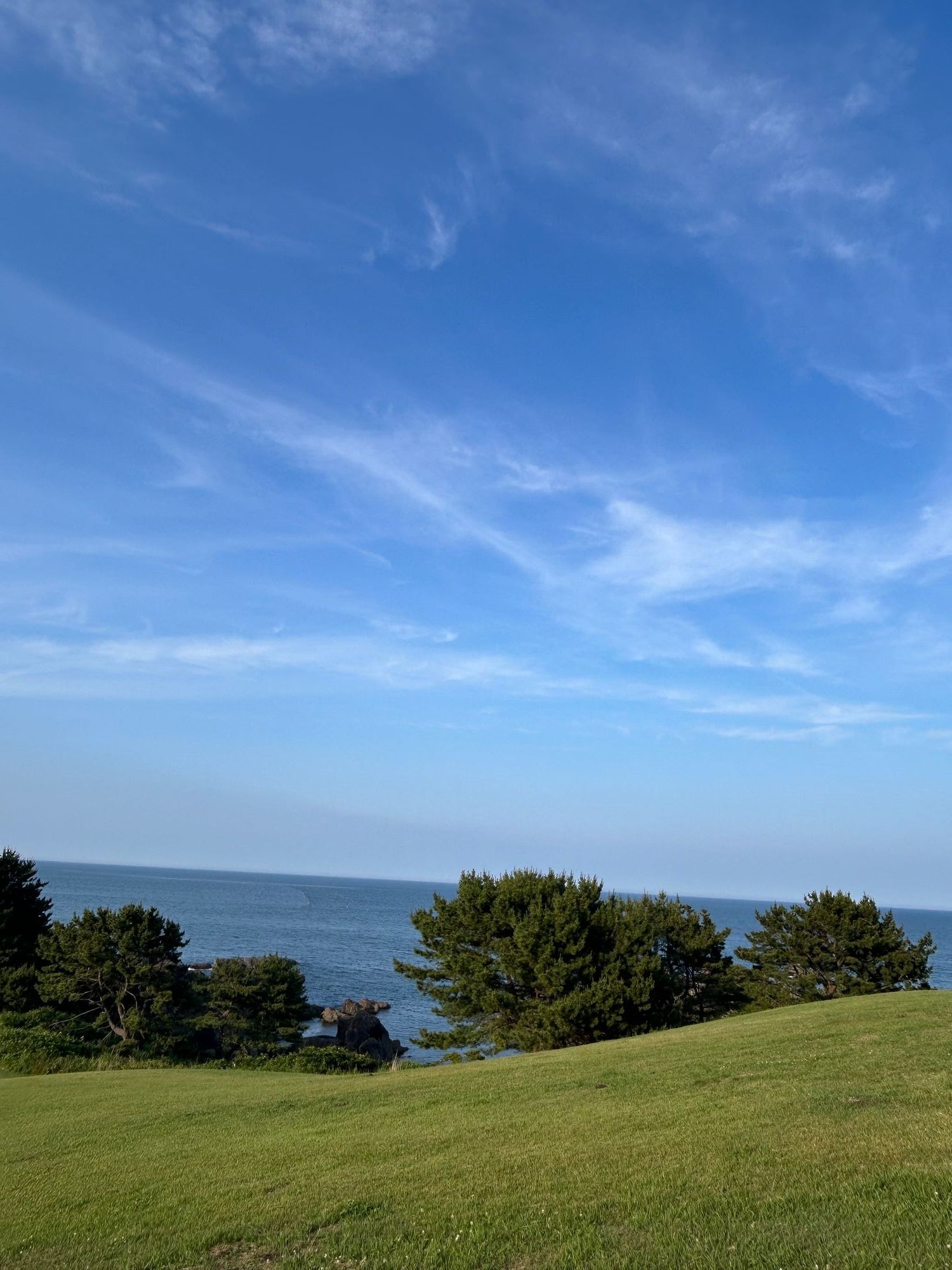 八戸市】海岸なのに一面芝生ってすごいよねぇ『種差(たねさし