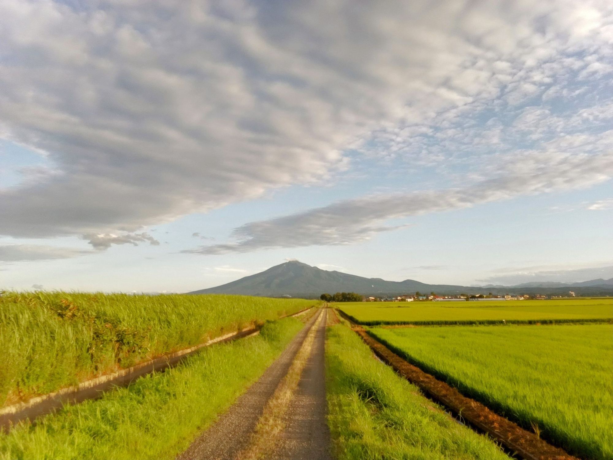 つがる市木造〜森田 田園・岩木山 夕刻 2025/07/20 | 青森びいき