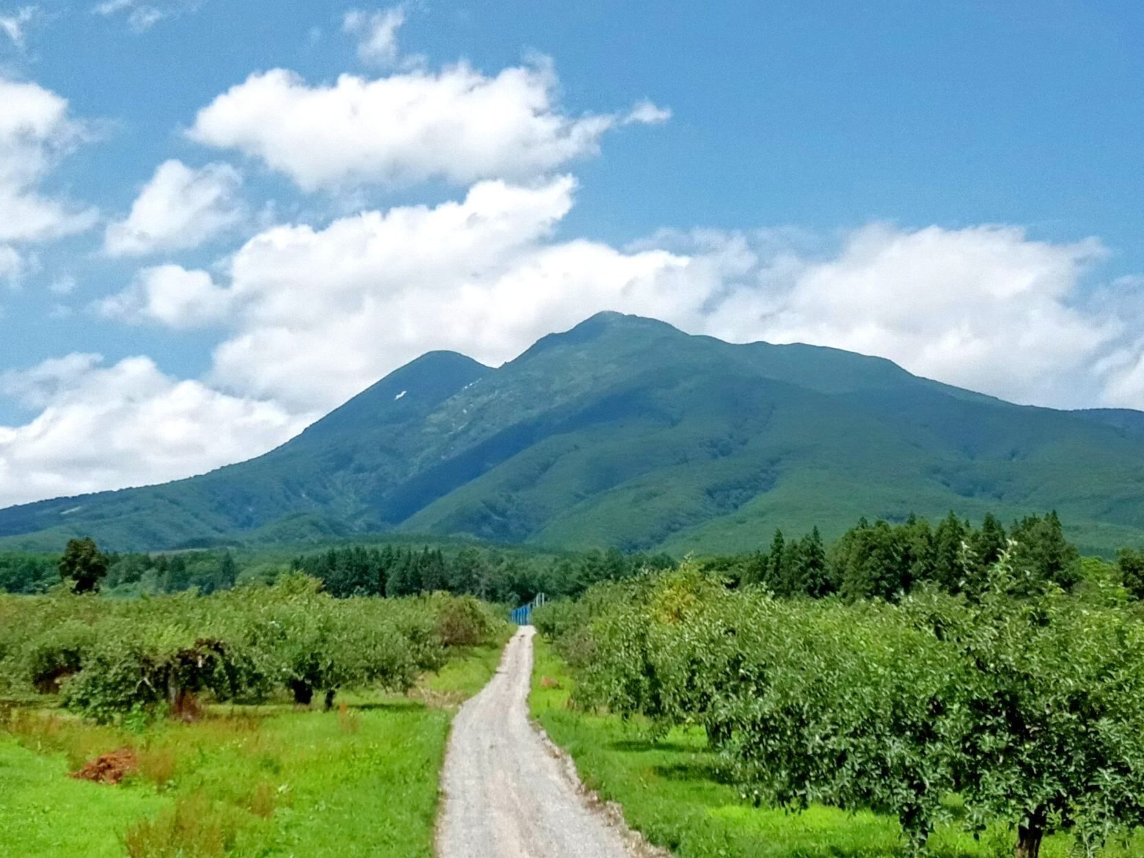 今日の岩木山@とあるりんご農園 | 青森びいき