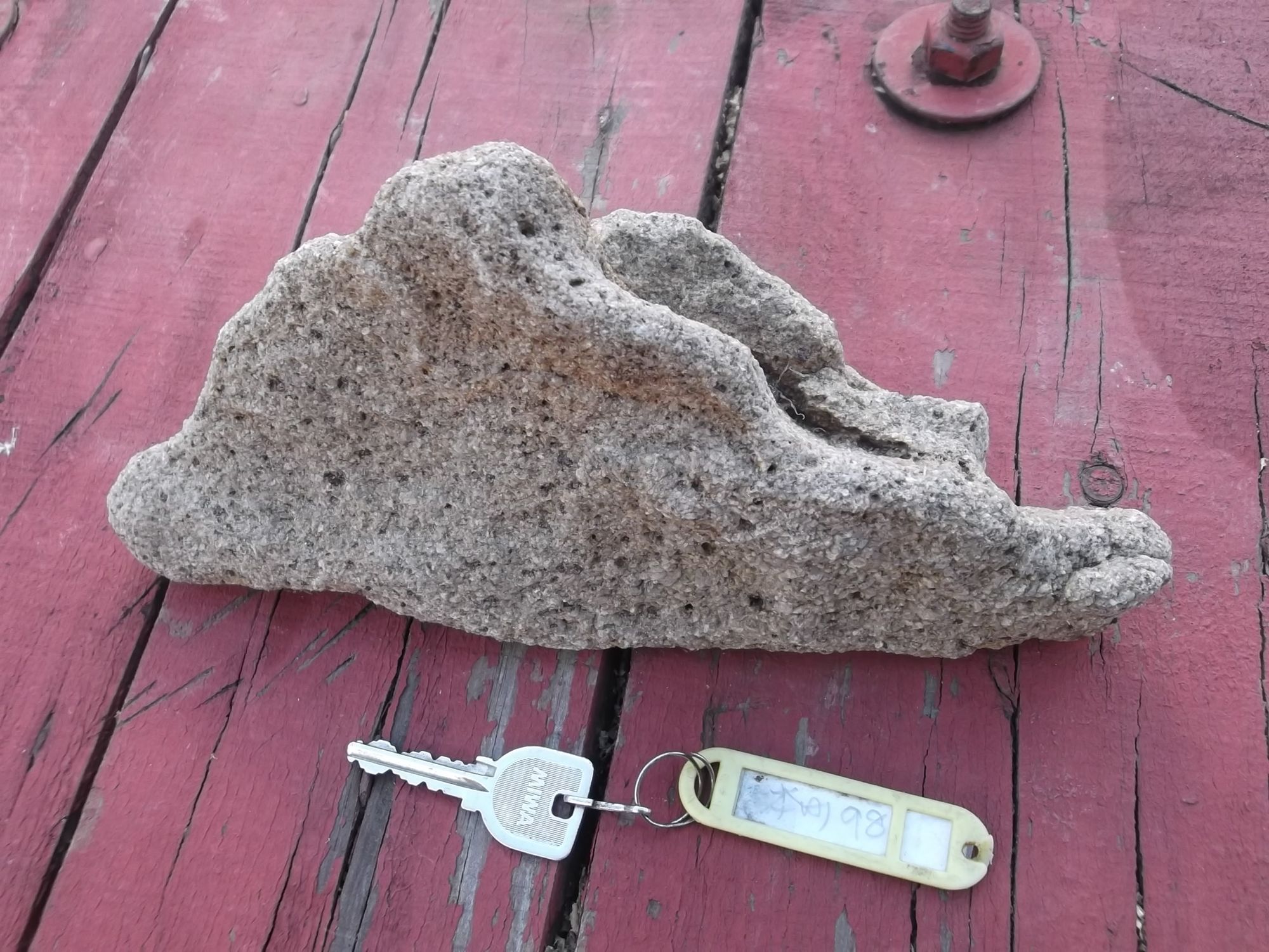 南極の石 | 青森びいき