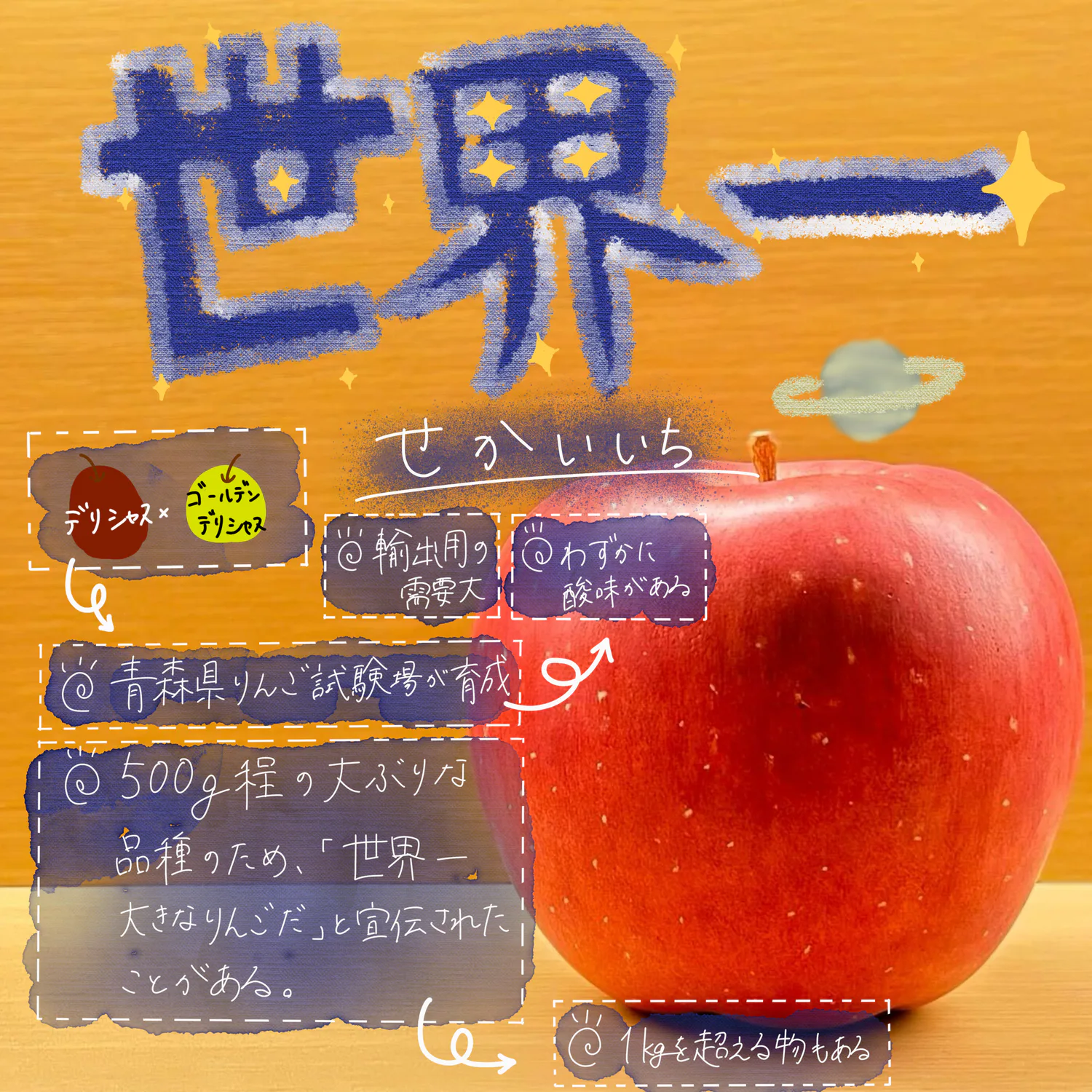 pomodomoりんご紹介 世界一?〉 | 青森びいき