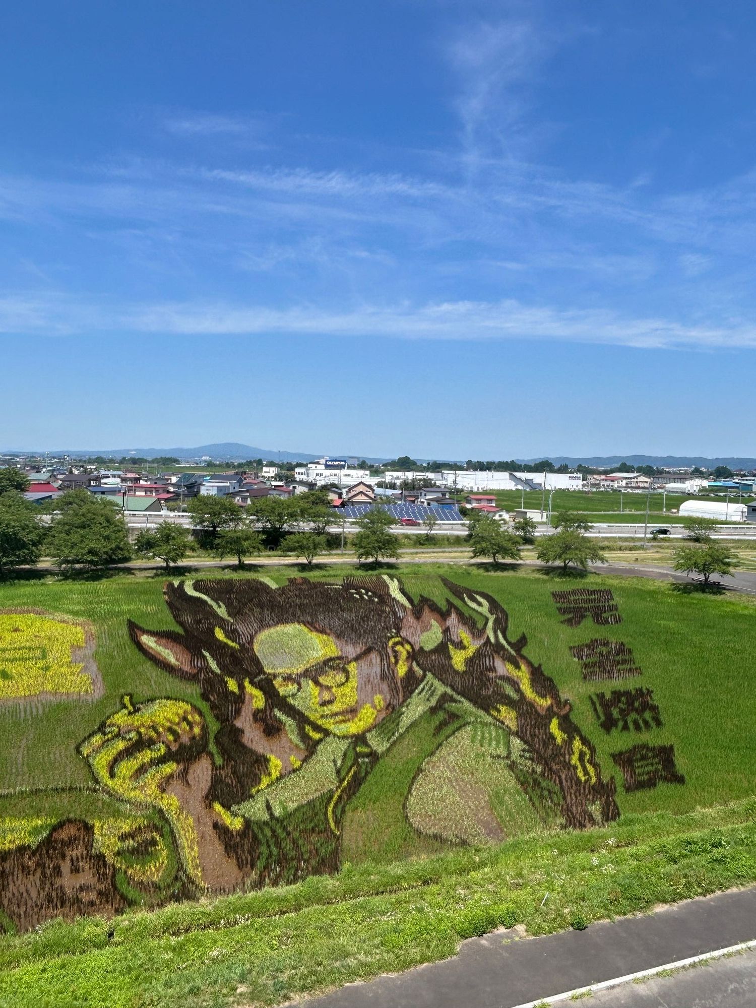 道の駅】いなかだて 田んぼアート | 青森びいき