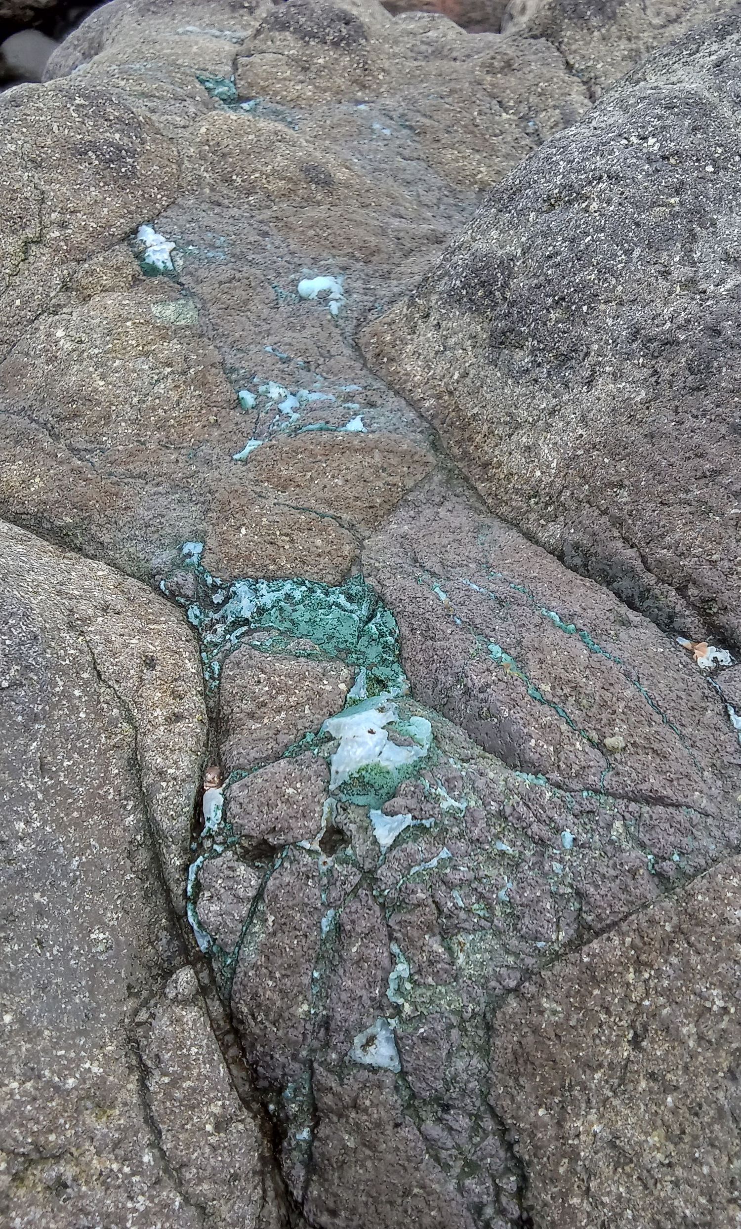 崖っぷち鉱物採集 in 竜飛岬 青のコモン・オパール | 青森びいき