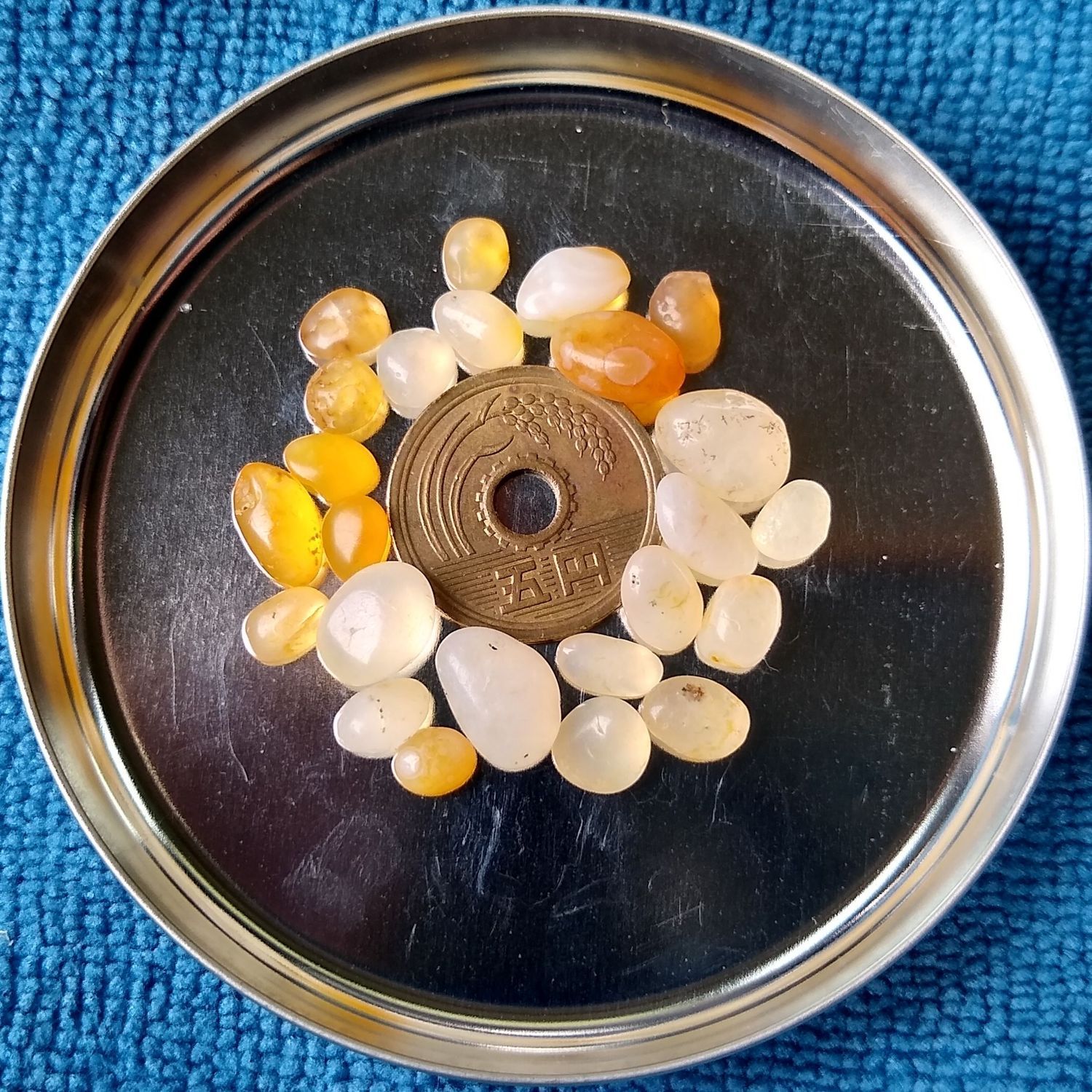 ⓱ 今別産超極上達磨型舎利石 ➇ 今別産 極上舎利石