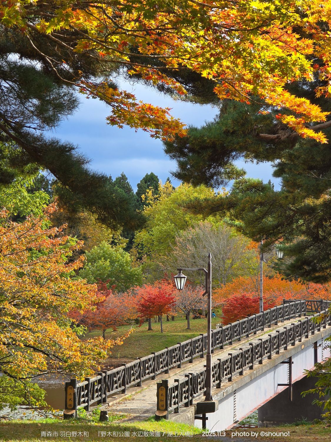 青森市・野木和公園 | 水辺散策園】静けさに包まれる秋の絶景！秋の