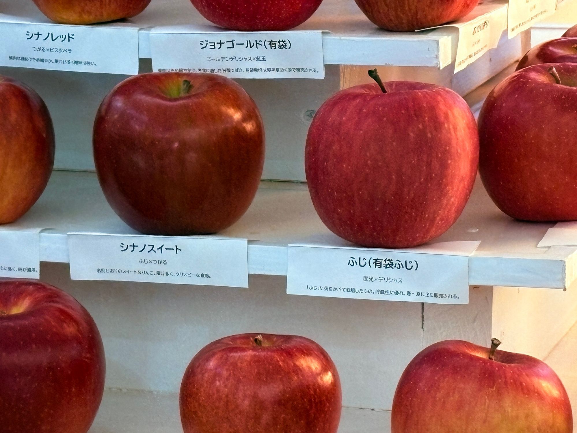 青森りんごのクリスマスツリー✨これぞ青森のツリー✨🍎🎄🍏 | 青森びいき