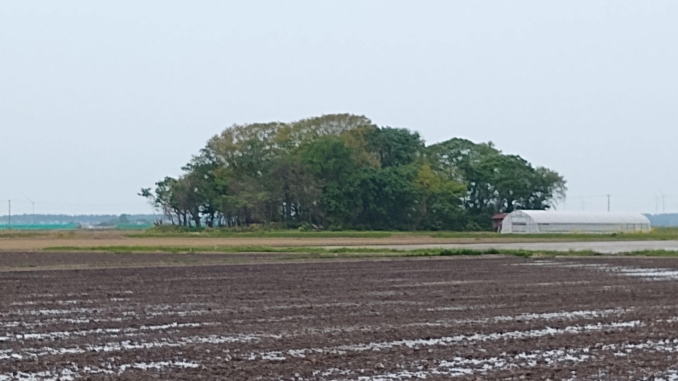 つがる市 鎮守の森 | 青森びいき