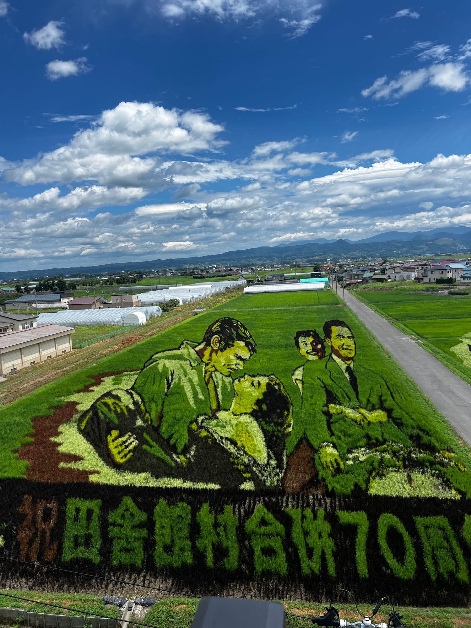 田舎館の田んぼアート🌾 | 青森びいき