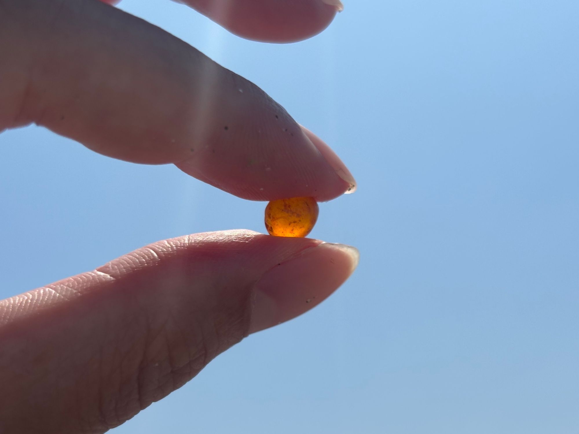 舎利石もありました | 青森びいき