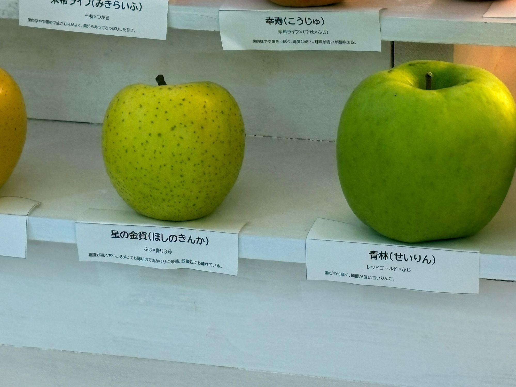 青森りんごのクリスマスツリー✨これぞ青森のツリー✨🍎🎄🍏 | 青森びいき