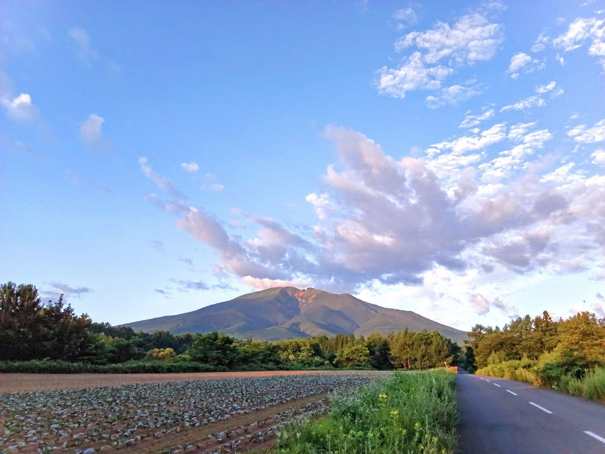 岩木山と畑 早朝 2025/07/21 | 青森びいき