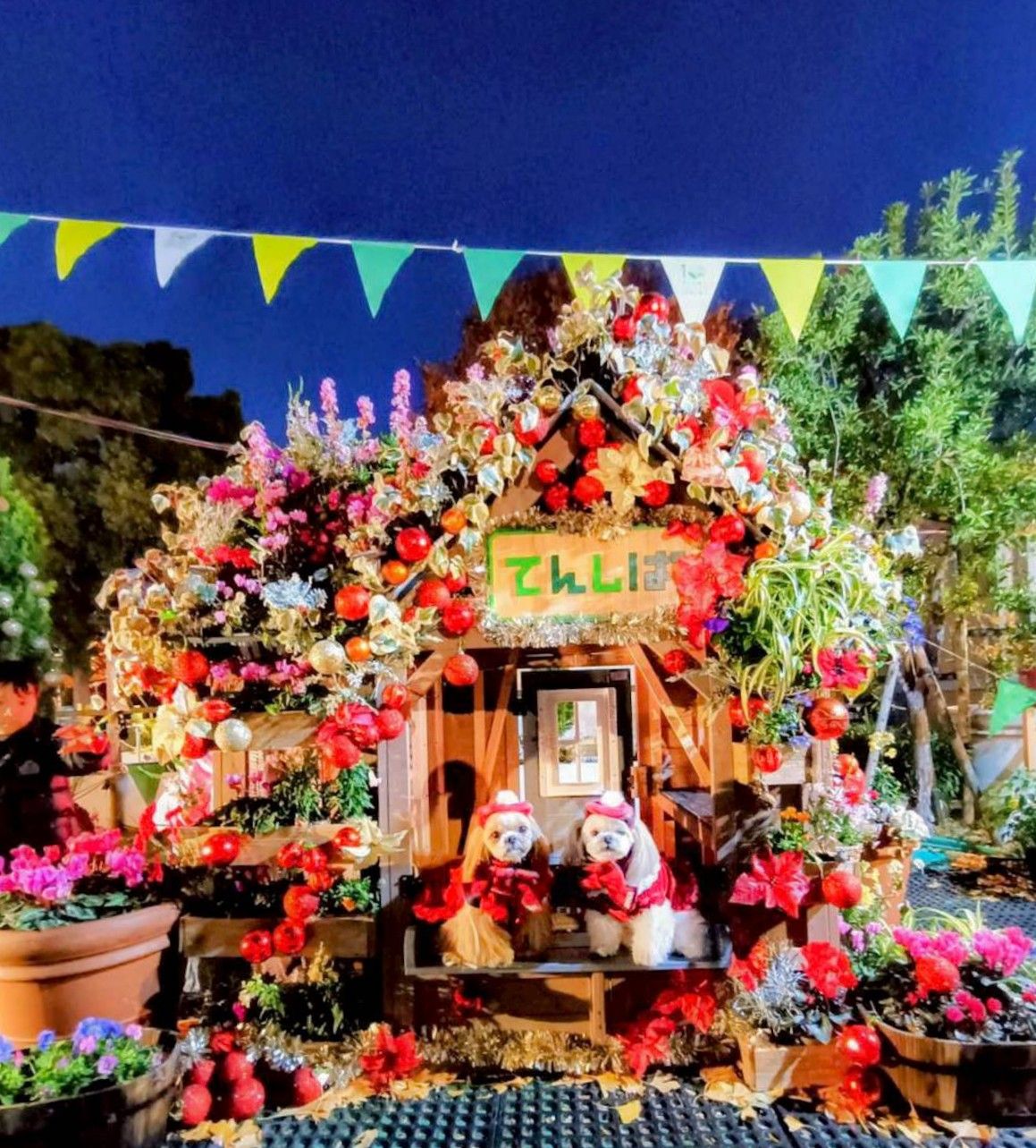 大阪遠征〜VOL.4 てんしば クリスマスマーケット〜 | わんちゃんライフ広場