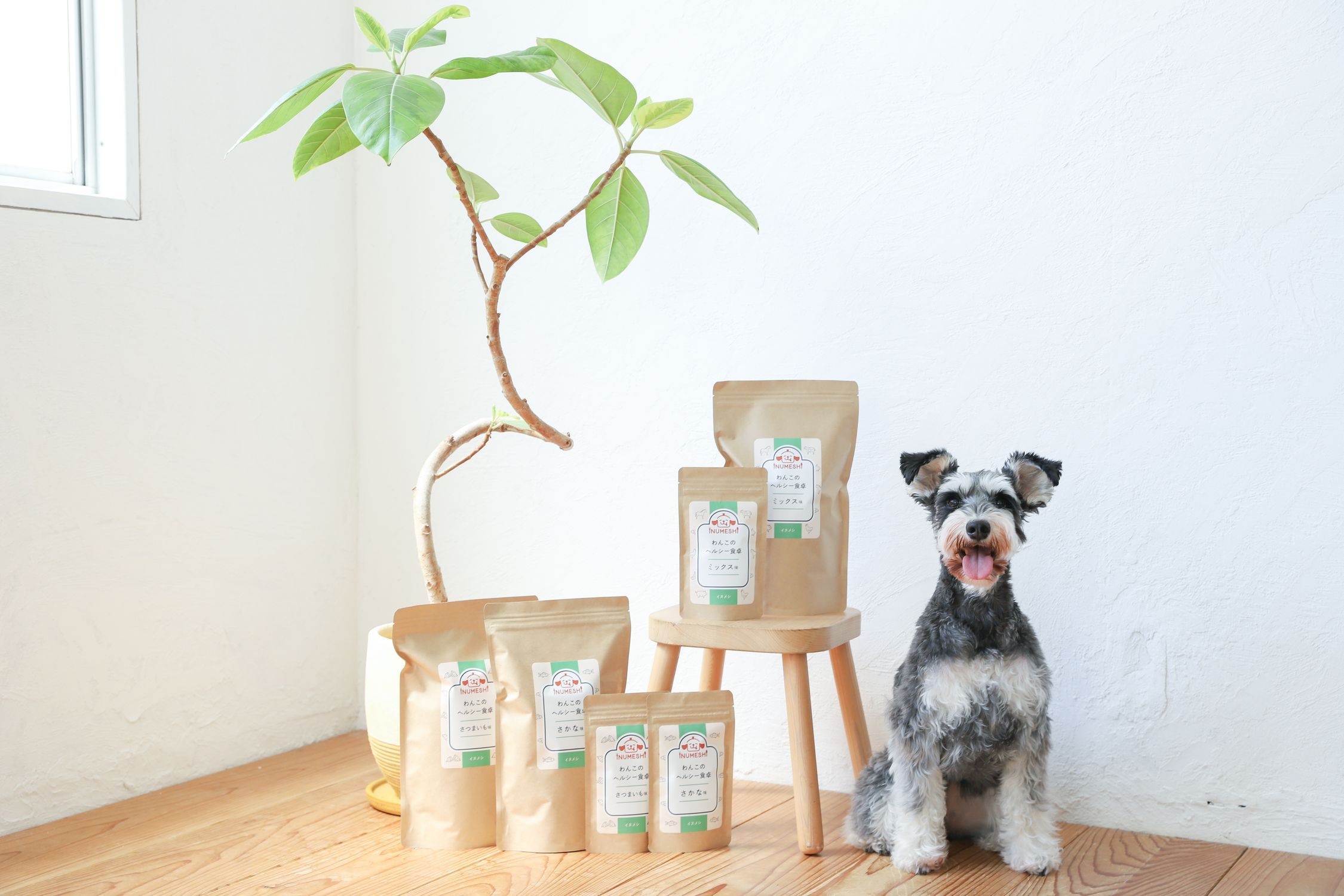 わんこのヘルシー食卓「よくある質問②」 | わんちゃんライフ広場