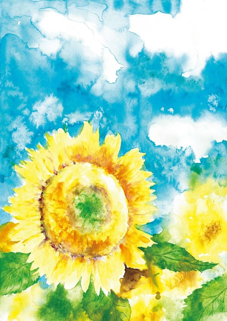 光と影を意識してみよう！夏の主役、太陽の花（7月） | みんなの