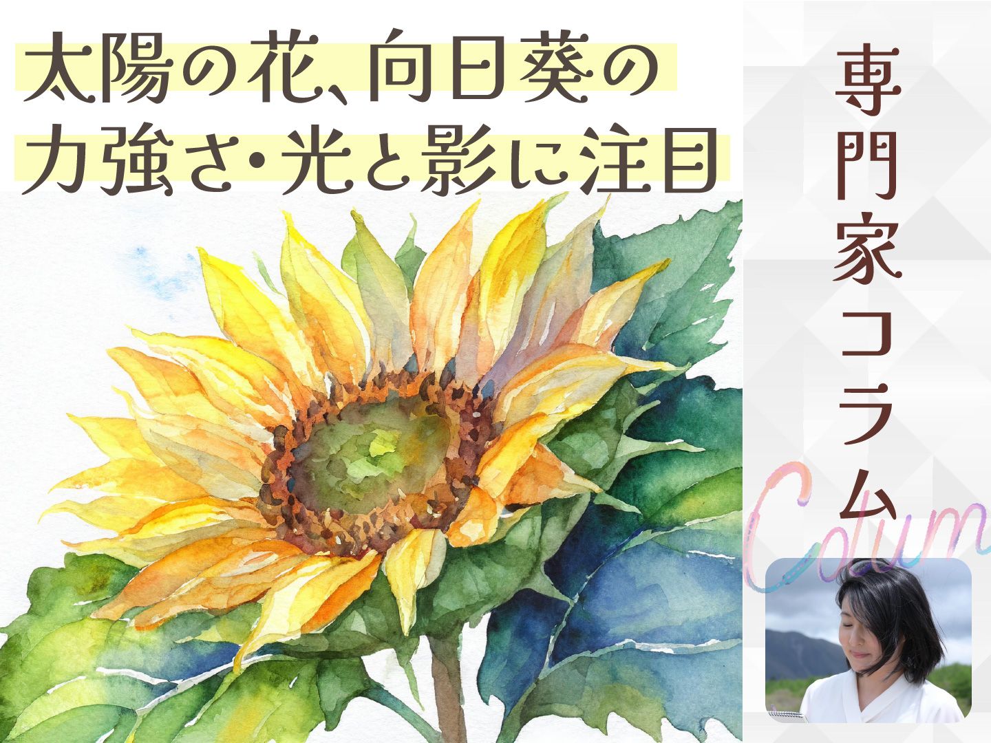 光と影を意識してみよう！夏の主役、太陽の花（7月） | みんなの