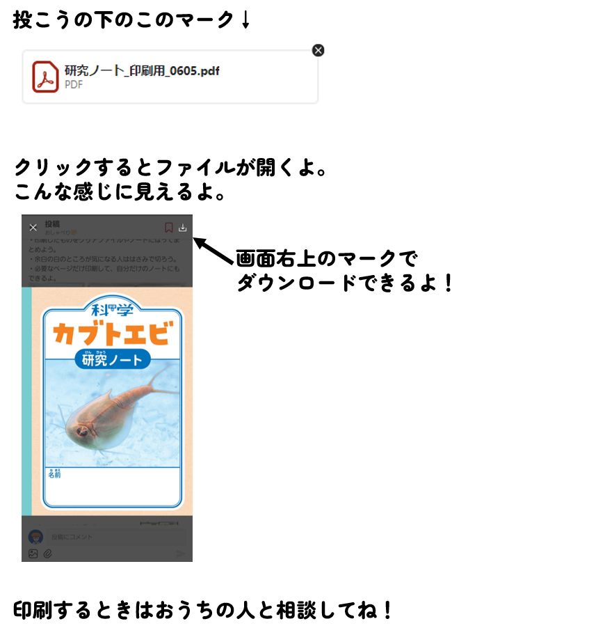 記事】22ページ：大きな「カブトエビ研究ノート」を作ろう | 学研の